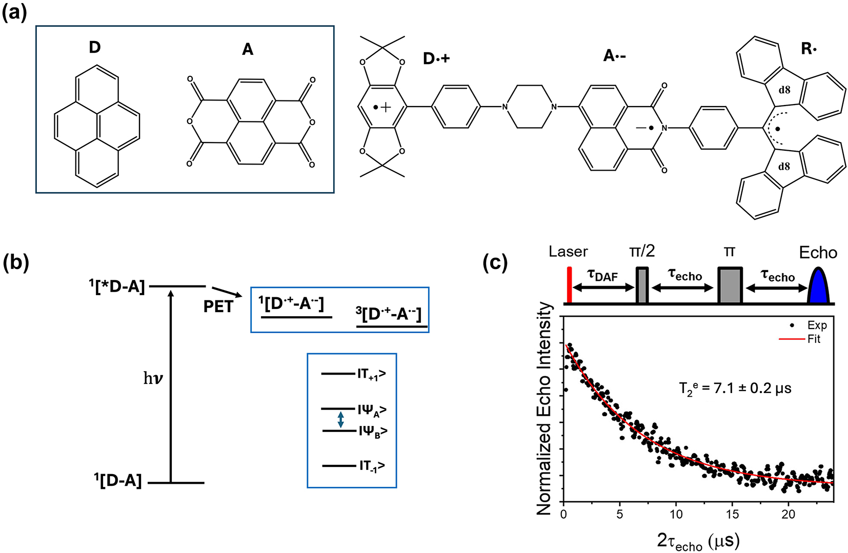Figure 4: 
Electron donor (D)-bridge (B)-acceptor (A) systems as photoinduced spin qubits. (a) Structures of co-crystallized and covalently linked D-A systems. The notations D·+, A·− and R· in the top structure depicts donor-based cationic radical, acceptor-based anionic radical, and the appended stable organic radical, respectively. (b) Mechanism of optical spin polarization in D-B-A systems. Excitation of a D-B-A system in the ground state leads to the formation of the singlet excited state – 1[*D-B-A], with the donor fragment excited in this specific case. Photo-induced electron transfer (PET) from the donor to the acceptor leads to the formation of the charge-separated state. Due to the spin conserving nature of the PET process, a singlet state – 1[D·+-B-A·−] – is formed initially. A subsequent spin-flip leads to the formation of the triplet spin-pair. In a static magnetic field that is relatively large compared to the spin–spin exchange (J) and dipolar (D) interactions, mixing between the 1[D·+-A·−] and 3[D·+-A·−] states produces hybrid electronic levels, as shown in the blue box [61]. Due to the singlet character of the 1[D·+-B-A·−] state, the ΨA and ΨB levels are initially populated. By using appropriate MW pulses and leveraging the mentioned spin-polarization into the ΨA,B states, coherence superposition between the mixed singlet and triplet levels can be created. Addition of a radical bearing entity has been exploited to generate higher order qubits, as in the structure shown in (a, right). (c) To circumvent line-broadening and the consequent qubit addressability issue, co-crystallized D-A systems have been proposed (a, left). Spatially oriented triplet excitons in such systems resulted in the observation of about 7.1 µs coherence lifetime at 20 K. In the top part, the pulse sequence used to determine the coherence lifetime is shown [56]. Figure (c) is reproduced with permission from [56].
