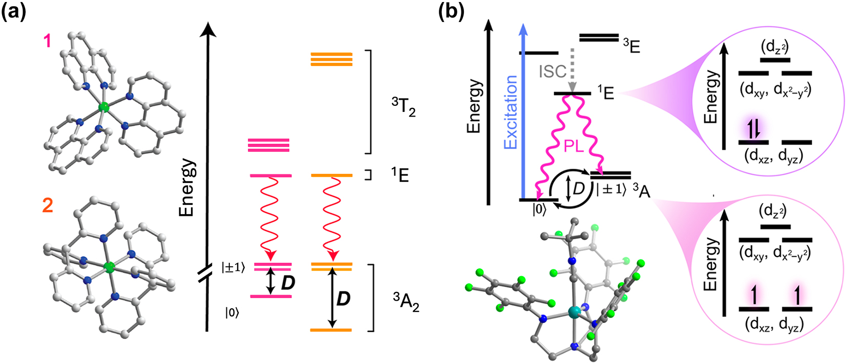 Figure 6: 
Ni2+ and V3+ complexes proposed as candidates for optically addressable molecular spin qubits. (a). Molecular structures and energy level diagrams of [Ni(phen)3](BF4)2] (1) and [Ni(pyr3)2](BF4)2] (2). Green, blue, and gray spheres represent Ni, N, and C atoms, respectively. H atoms are omitted for clarity. The figure is adapted with permission from ref. [67]. (b) Illustration of the energy level scheme for [(C6F5)3trenVCNtBu], highlighting the spin conserving optical excitation (blue), intersystem crossing (ISC) to the 1E (S = 0) excited state (gray), and photoluminescence (PL) from the later to the 3A (S = 1) ground state. The molecular structure determined by single-crystal X-ray diffraction is shown below with teal, blue, green, and gray spheres representing V, N, F, and C, atoms, respectively. H atoms are omitted for clarity. Pink circles: Qualitative d-orbital splitting diagram and electronic configurations for 1E and 3A in ideal C3v symmetry. The figure is adapted with permission [66].
