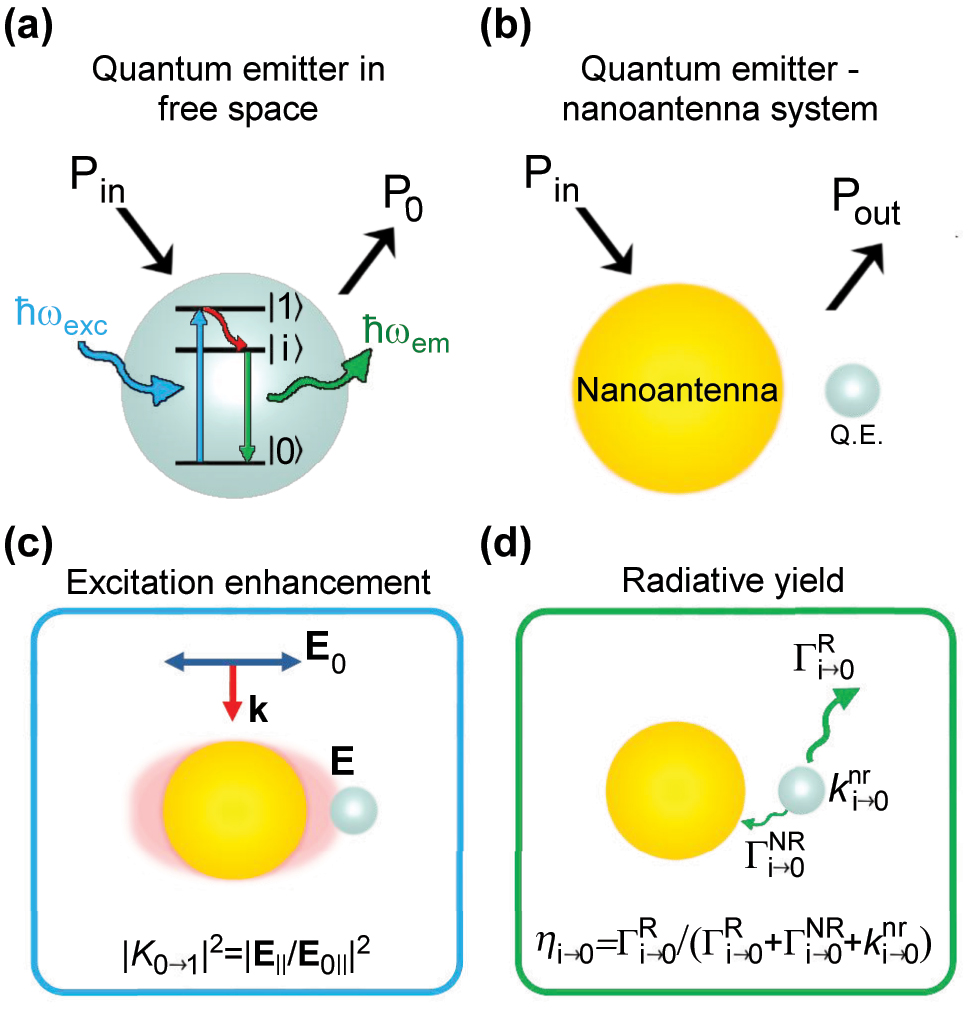 Figure 1: 
Key magnitudes determining plasmon-enhanced photoluminescence. (a) Energy level diagram of a three-level quantum emitter (QE) with ground (|0⟩), excited (|1⟩), and intermediate fluorescent (|i⟩) states. Upon excitation by a photon of energy ℏω
exc = ℏω
0→1, the QE can emit a photon of energy ℏω
em ≈ ℏω

i→0 after non-radiative relaxation decay from the |1⟩ to the |i⟩ state. The power emitted to the far field by the QE in free space is denoted as P
0, and the incident power P
in. (b) Schematic representation of the system consisting on a QE (gray sphere) coupled to a metallic nanoantenna (golden sphere). The power emitted by the QE – nanoantenna system to the far field is labeled as P
out. The power emitted in the presence of the nanoantenna is proportional to two factors represented in (c–d): (c) excitation enhancement |K
0→1|2, where |K
0→1| = |E
‖|/|E
0‖| is the electric field enhancement, |E
‖| is the amplitude of the electric field component along the direction of the |0⟩ → |1⟩ transition (evaluated at the location of the QE), and |E
0‖| is the corresponding electric field value of the incident illumination; (d) radiative yield η

i→0, defined as the ratio of the radiative decay rate 




Γ


i
→
0


R




${{\Gamma }}_{i\to 0}^{\text{R}}$



 to the total decay rate 




Γ


i
→
0


T


=


Γ


i
→
0


R


+


Γ


i
→
0


NR


+


k


i
→
0


nr




${{\Gamma }}_{i\to 0}^{\text{T}}={{\Gamma }}_{i\to 0}^{\text{R}}+{{\Gamma }}_{i\to 0}^{\text{NR}}+{k}_{i\to 0}^{\text{nr}}$



 of the quantum emitter, where 




Γ


i
→
0


NR




${{\Gamma }}_{i\to 0}^{\text{NR}}$



 is the non-radiative decay rate induced by the QE-nanoantenna interaction and 




k


i
→
0


nr




${k}_{i\to 0}^{\text{nr}}$



 is the non-radiative intrinsic decay rate of the QE. The photoluminescence enhancement factor (PLEF) of the QE – nanoantenna system is determined by the ratio P
out/P
0, as defined in Equation (3).
