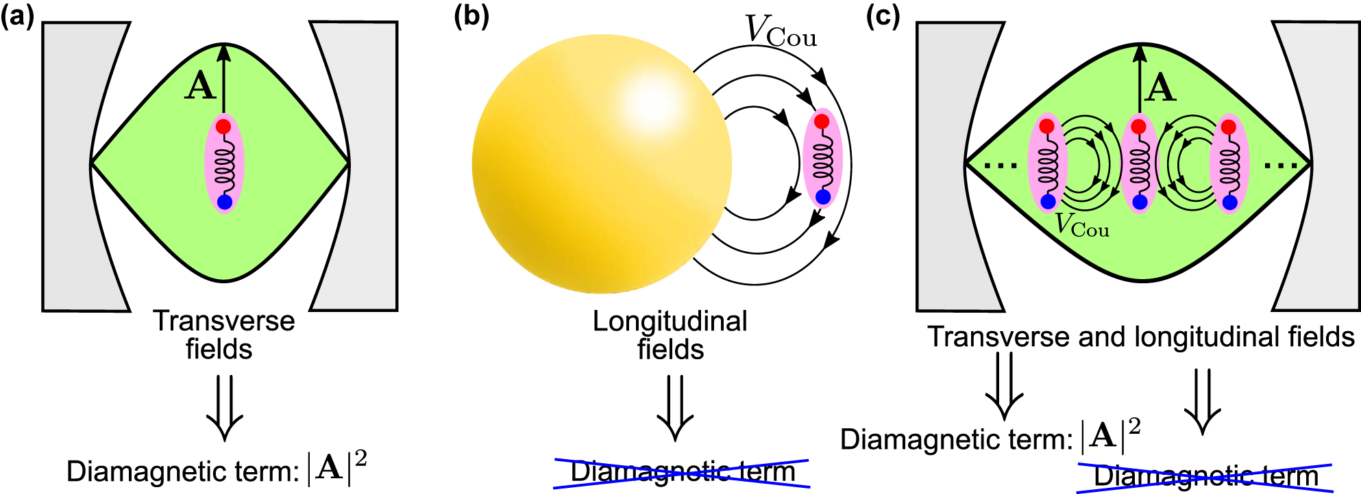Teaser image from the article
