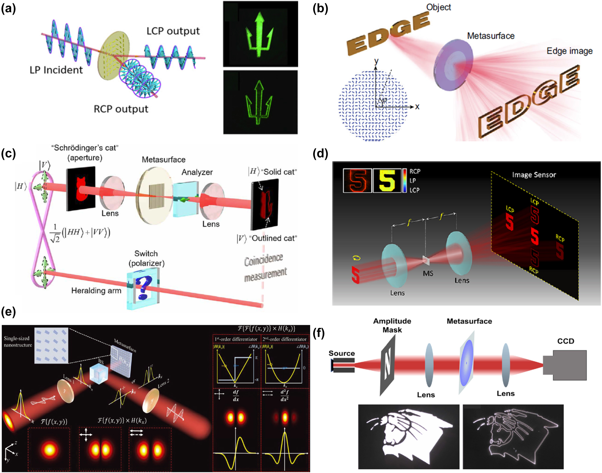 Figure 4: 
Amplitude differentiator based on creativity spatial Fourier transfer approach. (a) Differentiation operation based on dielectric PB-phase metasurface. Reproduced from Ref. [49]. (b) Two-dimensional spatial differentiation based on two-dimensional dielectric PB-phase metasurface. Reproduced from Ref. [73]. (c) Quantum edge detection based on dielectric PB-phase metasurface. Reproduced from Ref. [74]. (d) Simultaneously achieves spatial differentiation operations and polarization control based on a multifunctional metasurface. Reproduced from Ref. [75]. (e) Multiplexed differentiators based on Malus metasurface. Reproduced from Ref. [76]. (f) Broadband differentiation operation based on multiple illumination environments. Reproduced from Ref. [77].
