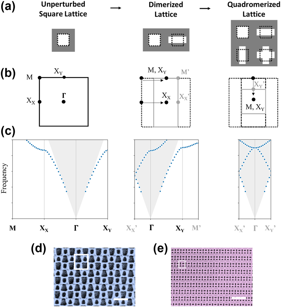 Figure 1:
Conceptualization of periodic quadromer lattices. (a–c) Formulation of quadromer lattices by two successive period doubling perturbations corresponding to two successive band folding operations. (a and b) Schematics of monomer, dimer, and quadromer in (a) real-space (primitive unit cell) and (b) k-space (First Brillouin Zone). (c) Band diagram (fundamental band only) for monomer, dimer, and quadromer. (d and e) False color scanning electron micrographs of quadromerized metasurfaces fabricated in silicon on a glass substrate. Scale bars: 1 µm. White box indicates one primitive unit cell.