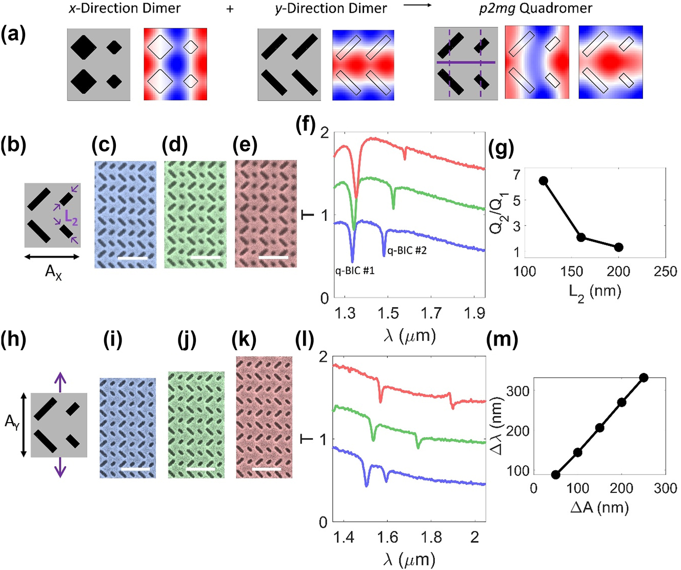 Figure 4:
Experimental demonstration of engineering the Q-factors and spectral separation. (a) Construction of p2mg quadromer (with mirrors and glides marked with solid and dashed lines, respectively) supporting a pair of A q-BICs from x- and y-direction dimers. (b–g) Differentiation of Q-factors within pair of q-BICs. (a) Schematic of meta-unit. (c–e) False color scanning electron micrographs with decreasing L2. Scale bars: 1 µm. (f) Measured transmission spectra of devices in (c–e) for y-polarized incident light. Each spectrum offset by 0.5. (g) Calculated ratio of Q-factors (Q2/Q1 of q-BICs #2 and #1 respectively). (h–m) Spectral separation of modes by expanding lattice along y-direction. (h) Schematic of meta-unit. (i–k) False color scanning electron micrographs with increasing AY. Scale bars: 1 µm. (l) Measured transmission spectra of devices in (i–k) for y-polarized incident light. Each spectrum offset by 0.5. (m) Measured separation between q-BICs as a function of lattice expansion along y-direction. Device dimensions detailed in Table S1.