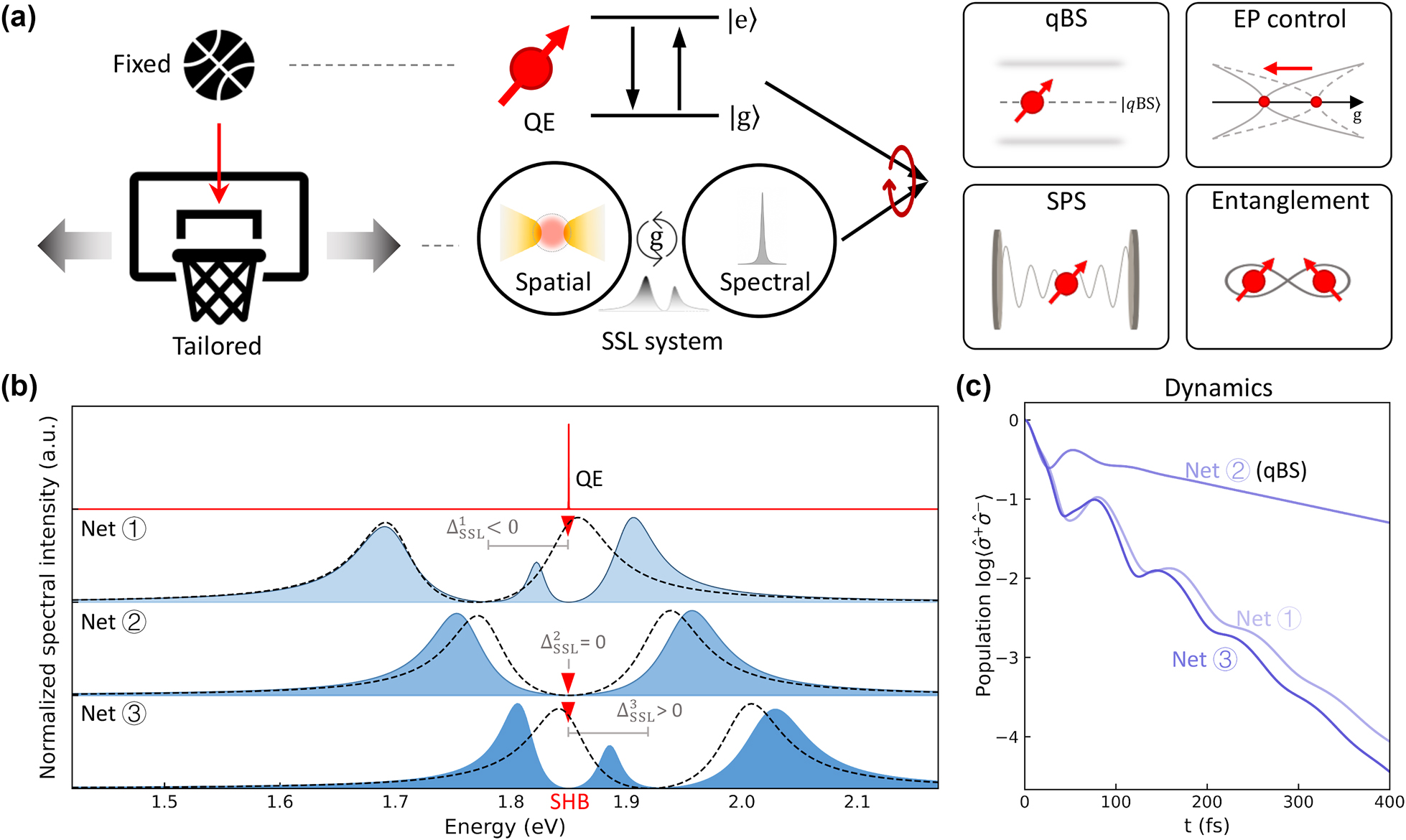Figure 1:
Spatio-spectral localized (SSL) modal coupling for atom-photon quasi-bound states (qBS) (a) schematic of the matching process involving a fixed quantum emitter (QE) modeled as a two-level system and an SSL system with a broad spatial-localized mode and a narrow spectral-localized mode, enabling various quantum applications. (b) Three different SSL systems with strong modal coupling (dashed lines), exhibiting spectral splitting, are tuned around a QE oscillating at ω
e = 1.85 eV, represented by tailored nets 1, 2, and 3. The QE (red triangles) induces spectral hole-burning (SHB) in the SSL-QE hybrid systems (blue-shaded). (c) Dynamics of the QE in the three tailored SSL systems in (b). The Net 2, identified as a qBS, allows the longest coherence lifetime of the QE.