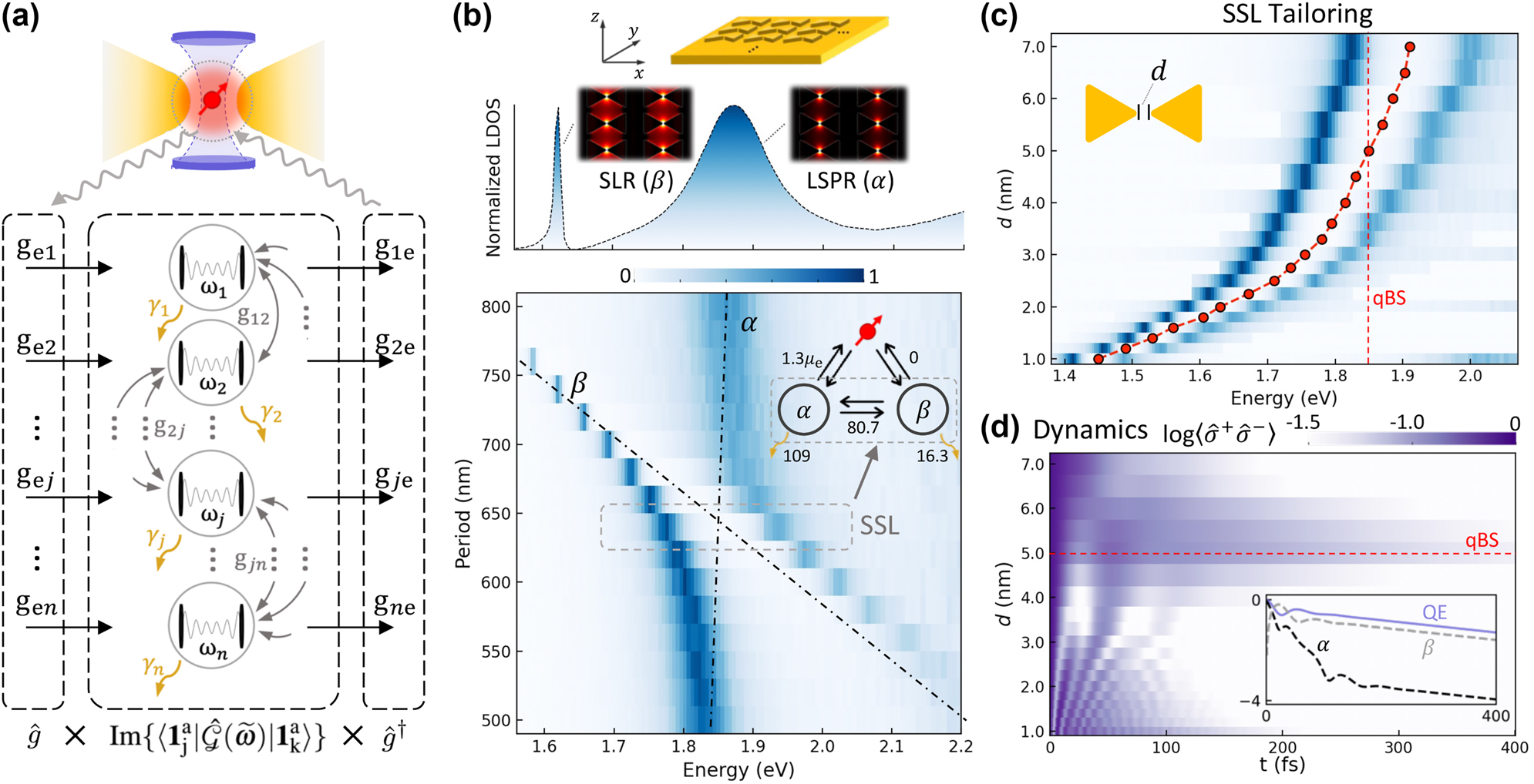 Figure 2:
Designing a full-plasmonic tunable SSL system. (a) Quantum modal-coupling model for extracting coupling rates from the response field intensity under a point dipole source excitation. (b) Plasmonic bowtie-array metasurface showcasing localized surface plasmon resonance (LSPR) mode (α, spatially localized mode, ω
α
= 1.87 eV, γ
α
= 117 meV) and surface lattice resonance (SLR) mode (β, spectrally localized mode, ω
β
= 1.62 eV, γ
β
= 10.6 meV) before modal coupling. The calculated normalized local-density-of-states (LDOS) at the position of the dipole source displays an anti-crossing feature as the lattice period along the x-axis varies from 500 to 800 nm, with observed spectral splitting at the crossing point (ω
α
= ω
β
) indicating a zero-detuned SSL system (extracted g
αβ
= 80.7 meV) with strong modal coupling. (c) Tailoring zero-detuned SSL systems: the splitting spectrum is tuned as d increases from 1.0 to 7.0 nm, corresponding to tunable ω
SSL (red dots) from 1.45 to 1.91 eV (650–855 nm). (d) For a fixed QE with ω
e = 1.85 eV and μ
e = 46 D throughout this study, we can select an SSL system from the map (c) to achieve the qBS at d = 5 nm with ΔSSL = ω
SSL − ω
e = 0 when the dynamics of QE is traced. At the qBS, full dynamics of α, β, and the QE are shown in the inset on a logarithmic scale.