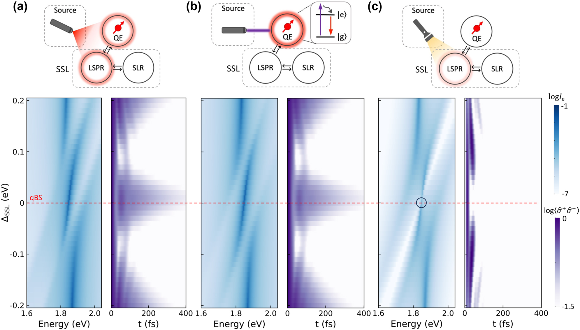 Figure 3:
The effect of excitation pathways on quantum coherence protection. The dependence of the QE’s spectral intensity (blue) and dynamics (purple) on the pumping configurations: (a) resonant laser pumping to excite both QE and LSPR. (b) Higher-frequency laser pumping to excite the QE alone. (c) Ambient white-light pumping to excite the LSPR alone. Here, the QE is fixed with ω
e = 1.85 eV throughout this study, and the SSL systems are tuned with ΔSSL = ω
SSL − ω
e.