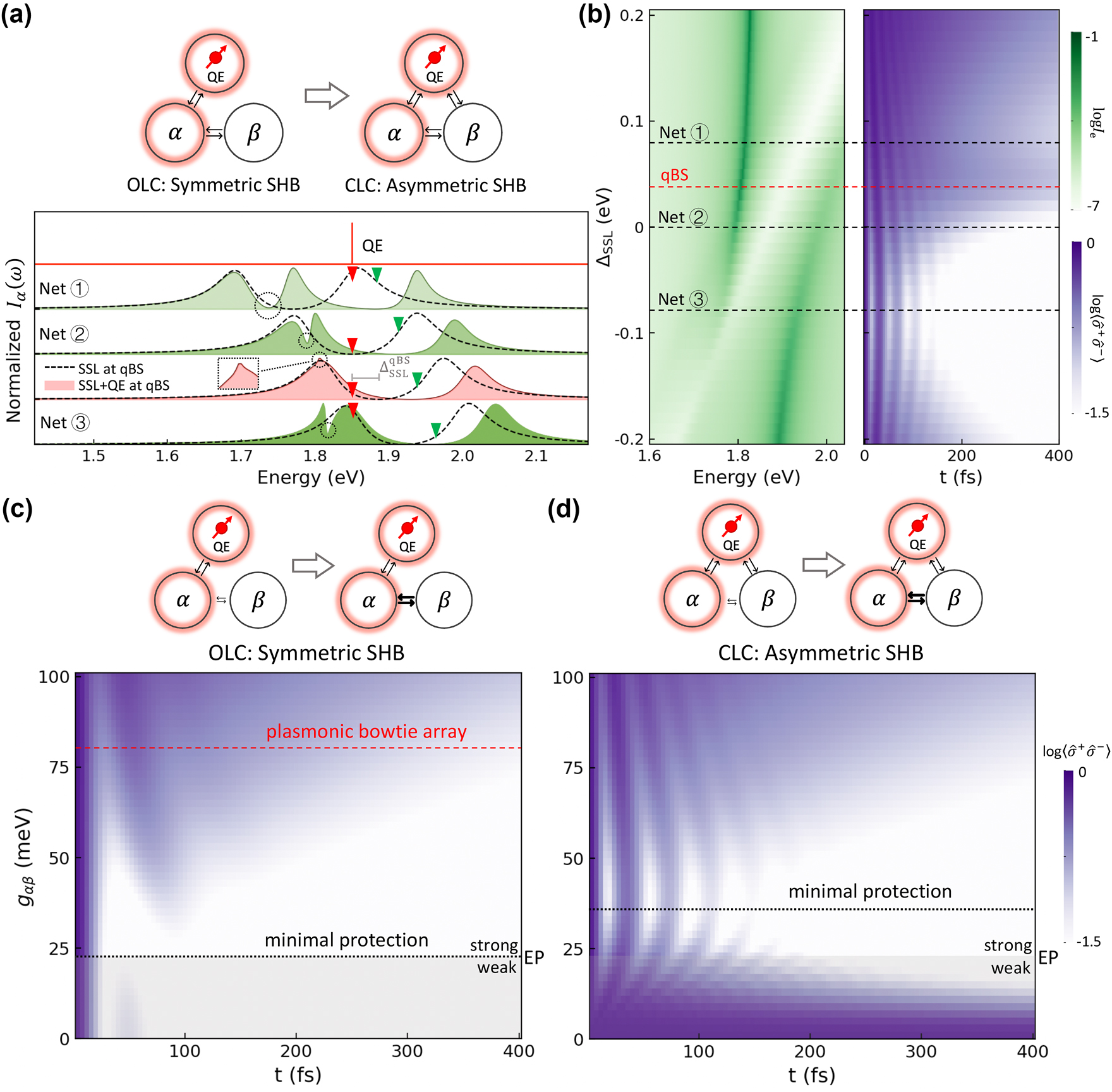 Figure 4:
From open-loop coupling (OLC) symmetric to closed-loop coupling (CLC) asymmetric QE-SSL systems. (a) The same three SSL systems in Figure 1(b) (dashed lines), exhibiting SSL splitting, are tuned around a QE oscillating at ω
e = 1.85 eV. The QE (red triangles) induces asymmetric SHB features in the SSL-QE hybrid systems 1–3 (green-shaded) and a qBS hybrid system (pink-shaded) when g
eβ
= g
eα
around right SSL peak (green triangles) and left SSL peak (circles). (b) For a fixed QE with ω
e = 1.85 eV and μ
e = 46 D throughout this study, we can design an SSL system to achieve the qBS according to Eq. (8). The dependence of spectral intensity (green) and dynamics (purple) on ΔSSL, where the four hybrid systems from (a) are labeled. (c) and (d) The dependence of dynamics on the modal-coupling strength g
αβ
of α and β at qBS under different coupling conditions: (c) OLC g
eβ
= 0 and (d) CLC g
eβ
= g
eα
.