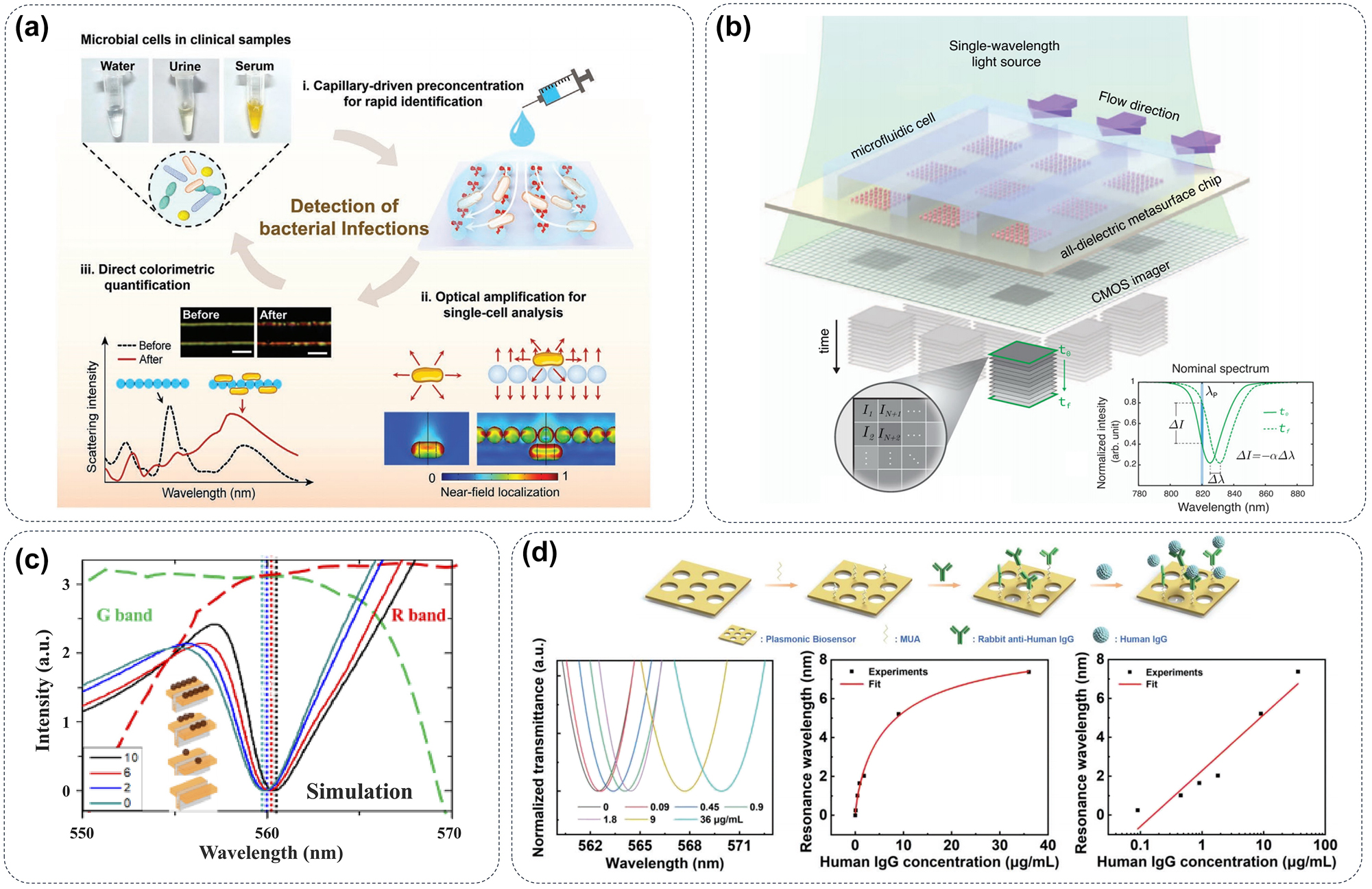 Figure 9: 
Colorimetric biosensor of metasurface. (a) A novel label-free, ultrasensitive, and visual biosensing technology is developed based on a printed nanophotonic metasurface [131]. (b) Large-area metasurface chips, configured as microarrays and integrated with microfluidics on an imaging platform, enable real-time detection of breast cancer extracellular vesicles [136]. (c) The color images of nanoplasmonic sensing metasurface have been developed for sensitive and label-free detection of virus-like particles [139]. (d) Metasurface constructed colorimetric detection system can achieve a logarithmic fit detection of 0.09–36 μg/mL of the human IgG [140].
