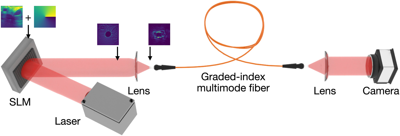Figure 1: 
Experimental setup. SLM, spatial light modulator. Input phase patterns and the beam profiles after the free-space propagation and focusing are indicated.
