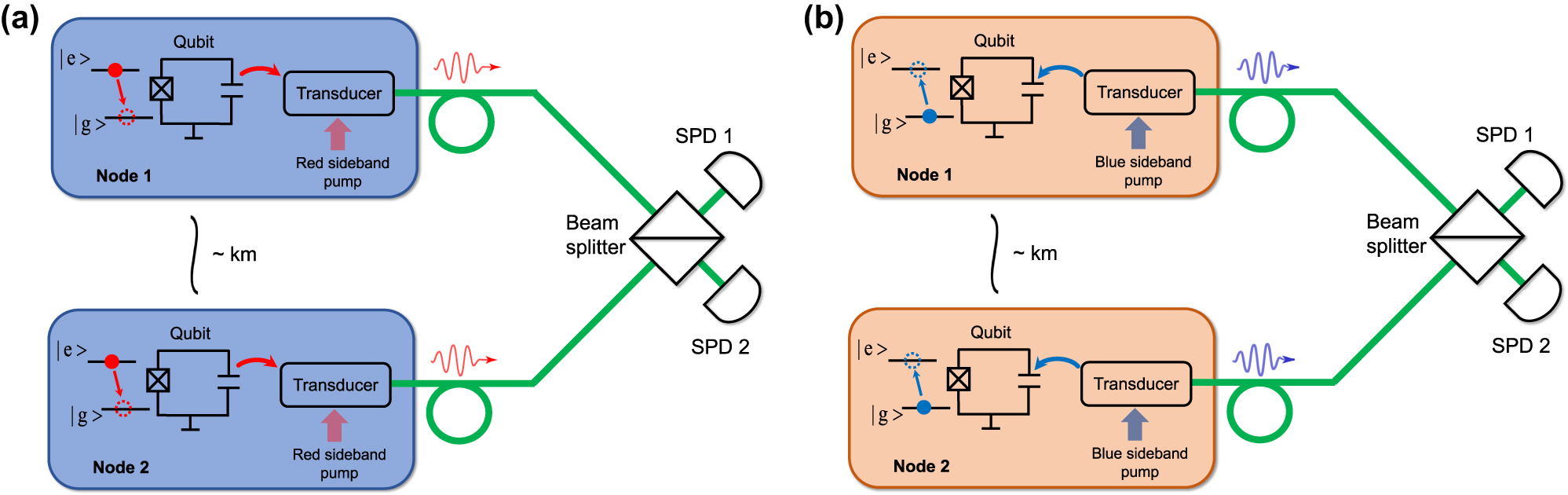 Teaser image from the article