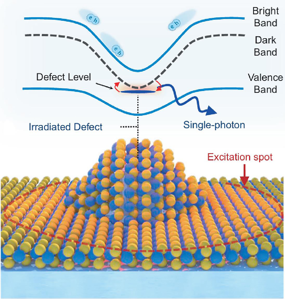 Figure 2: 
Schematic of a strain-induced single-photon emitter and its corresponding band structures. Spatial bandgap variations caused by strain create potential wells, directing excitons toward these low-energy regions. When a monolayer TMD is strained over a nanostructure, with defects added at the top, dark excitons are modified to form intervalley defect excitons. This configuration disrupts the spin-momentum locking, allowing dark excitons to recombine via the defect, resulting in bright single-photon emission. Reproduced with permission from Ref. [54], Nature Publishing Group.
