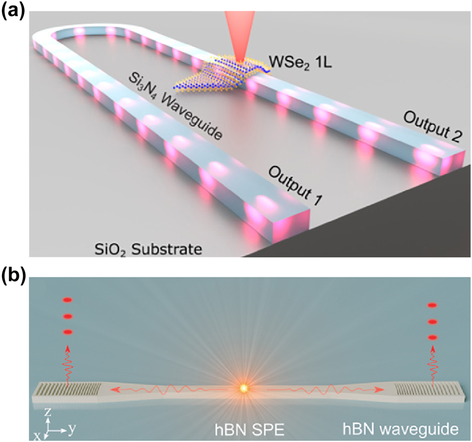 Figure 5: 
Waveguide-coupled 2D QEs. (a) Schematic of a coupled monolayer WSe2 QE with a U-shaped Si3N4 waveguide on a SiO2 bottom cladding. (b) Schematic of a hBN QE in a monolithic hBN waveguide. Reproduced with permission from Refs. [121], 56], American Chemical Society.
