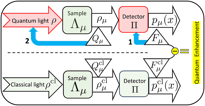 Figure 1:
The layout of sensing with quantum light (above dashed line). Corresponding sensing task with classical light (below dashed line). The conceptual route to identifying tangible quantum enhancement lies in the difference of the two classical Fisher informations F
μ
and
F
μ
cl
${F}_{\mu }^{\text{cl}}$
. This quantum enhancement can only be established experimentally. The symbols are defined in Section 2 and ρ
cl is described in Section 3. The two blue arrows denote the two optimisations in Section 2.2, of the two red boxes. The green boxes are typically fixed in advance.