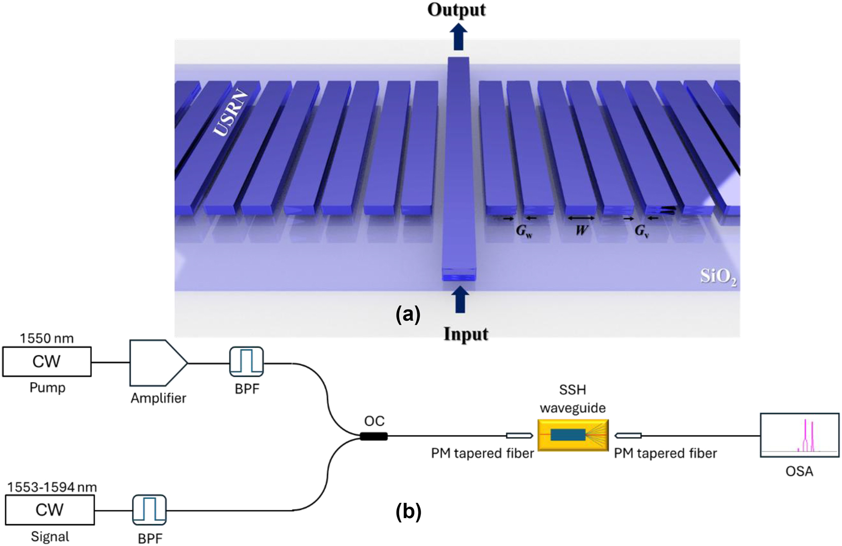 Figure 2:
The design of the SSH waveguide and the experimental setup. (a) The schematic design of the topological SSH waveguide with a domain wall (The light comes in and out at the boundary waveguide). W is the width of the USRN waveguide. The values of the gaps between the waveguide are G
w=0.15 µm and G
v=0.25 µm. (b) The experimental setup for output spectral measurements. (CW: continuous-wave, BPF: bandpass filter, OC: 3 dB optical coupler, OSA: optical spectrum analyzer).
