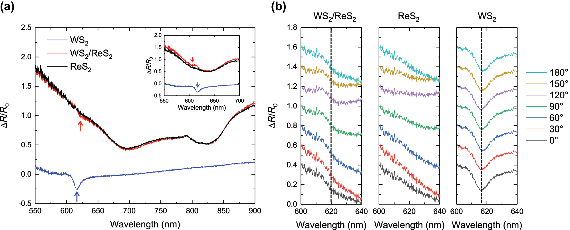 Figure 2: 
Differential Reflectance Characterization of WS2/ReS2 Heterostructure. (a) Differential reflectance of WS2 (blue), ReS2 (black), and WS2/ReS2 (red) at an excitation angle of 0°. The inset highlights the differential reflectance of each region in the wavelength range of 550–700 nm at an excitation angle of 90°. (b) Excitation angle-dependent differential reflectance spectra of WS2/ReS2, ReS2, and WS2 in the range of WS2 absorption.
