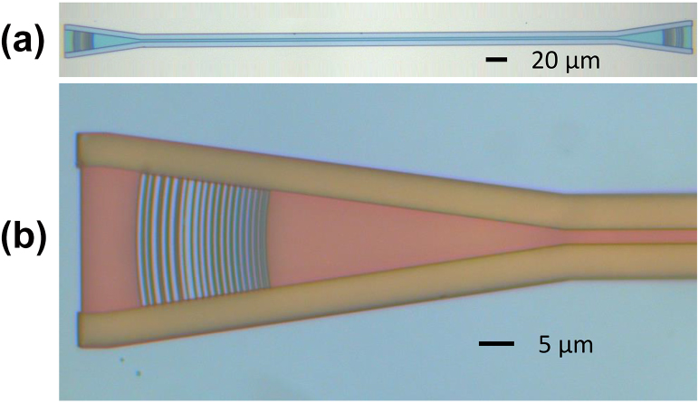 Figure 7: 
Microscope image of the wideband grating coupler. (a) A pair of GCs. (b) Zoom-in of the single grating.