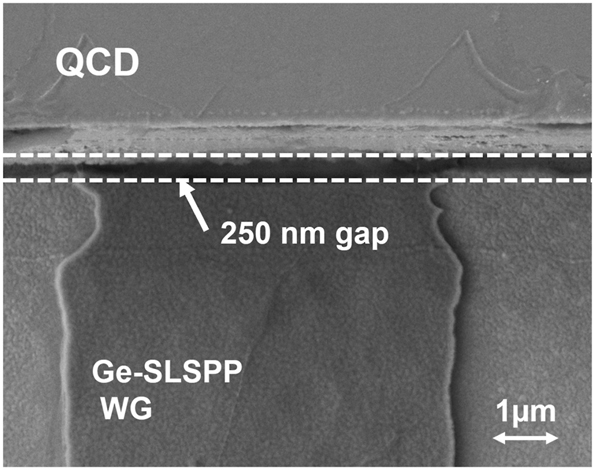 Figure 4: 
Fabricated gap between SLSPP-WG and on chip QCD through standard lithography and optical marker alignment with high precision. The gap-width here, highlighted through the two white dashed lines, is 250 nm.
