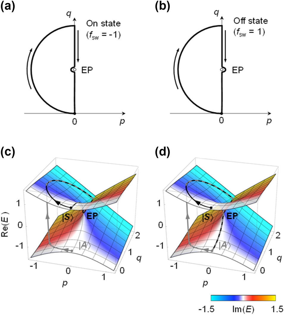 Figure 1: 
Dynamic state encircling an EP on p-q plane. (a, b) On state and Off state paths on the p-q plane, consisting of a detour path section and an EP-bypass path section. The On state path does not encircle the EP, while the Off state path does. (c, d) Real eigenvalue surfaces of Hamiltonian in Eq. (10), with color indicating the imaginary eigenvalue, plotted alongside with ⟨H⟩ of the dynamic state following the route in (a) and (b). The dynamic states with symmetric and anti-symmetric initial states are plotted as black and gray lines, respectively.
