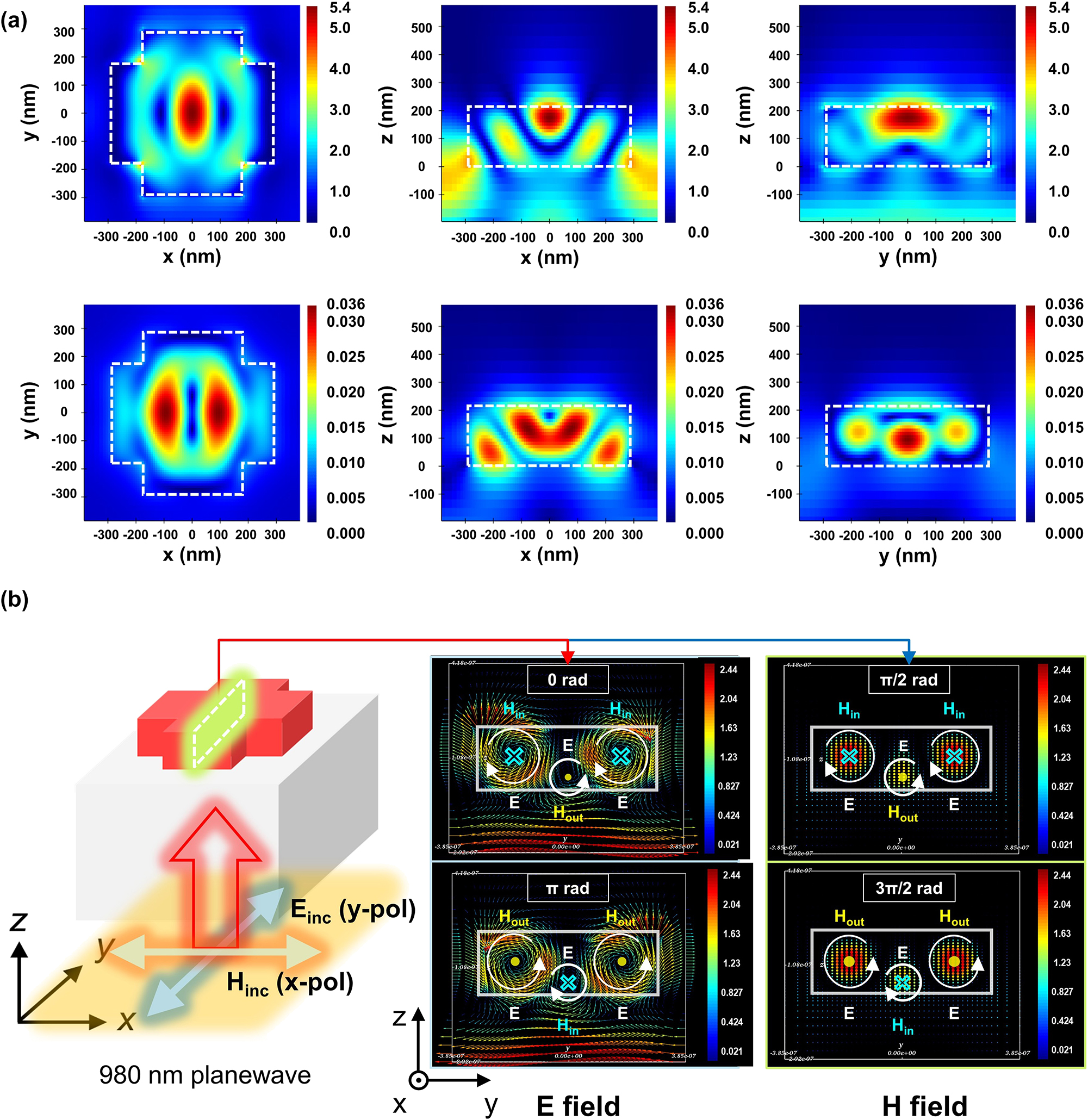 Figure 3: 
Simulation results for a periodically repeated cross-shaped structure arbitrarily selected in the high reflectance region, with y-polarized light at a wavelength of 980 nm incident from below. (a) Electromagnetic field profile formed in the unit cell. The top and bottom represent the electric and magnetic field profiles, respectively, and the xy cross-sectional profiles are extracted at z = 170 nm. Each field is represented as an absolute value. (b) Electromagnetic vector field profile formed in the unit cell.
