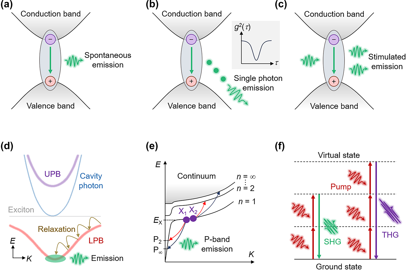 Figure 3: 
Schematic of spontaneous emission (a), SPE (b), stimulated emission (c), EP condensation (d), P-band emission (e), and second/third harmonic generation (f).
