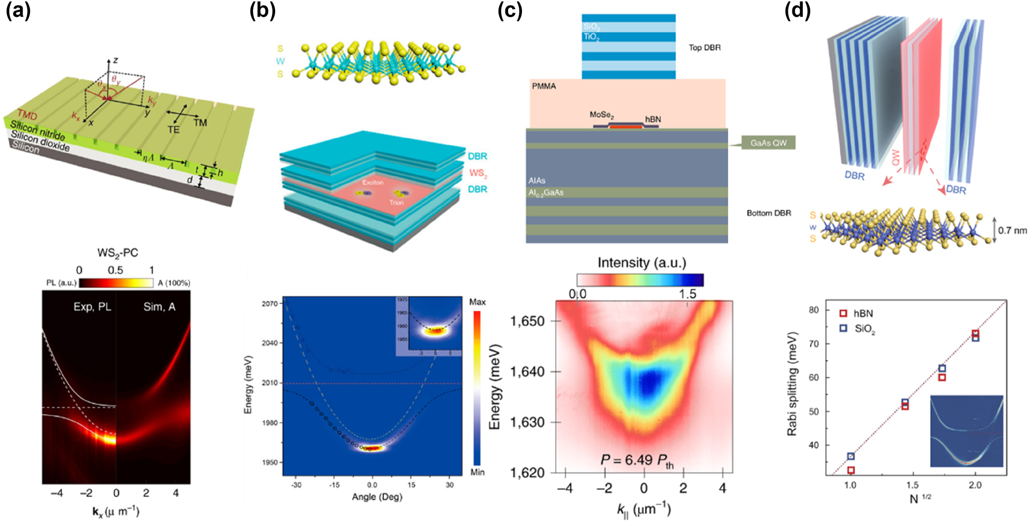 Figure 9: 
Emission from EP with external cavities. (a) Top panel: schematic of the structure integrating a monolayer TMD, such as WSe2 or WS2, with a 1D photonic crystal (PC). Bottom panel: angle-resolved PL map and corresponding simulated absorption spectra of the WS2-PC integrated device at room temperature. Reproduced from ref. [133]. Copyright 2018, Springer Nature. (b) Top panel: schematic of the structure integrating a monolayer WS2 into an all-dielectric λ/2 planar microcavity. Bottom panel: the angle-resolved PL map of the WS2 microcavity above the lasing threshold. The inset provides a zoomed-in view of the ground state, showing that the intense ground state emission is associated with the formation of a localized polariton condensate in a spatial trap. Reproduced from ref. [163]. Copyright 2021, American Chemical Society. (c) Top panel: schematic of the sample structure where a monolayer MoSe2 is embedded in a hybrid III/V dielectric microcavity. The structure consists of DBR, hBN, and polymethyl methacrylate spacer layers. Bottom panel: the dispersion relation map of EP condensation at pump power above the threshold (P = 6.49 Pth). Reproduced from ref. [169]. Copyright 2023, Springer Nature. (d) Top panel: schematic diagram of the WS2 superlattice embedded in a full dielectric planar microcavity. Bottom panel: the relationship between the Rabi splitting and the square root of the number of layers, comparing the experimental results using hBN (red) and SiO2 (blue) as insulators. It is observed that the Rabi splitting increases with the square root of the number of layers, demonstrating the enhancement of coupling strength in the multilayer WS2 superlattice. The inset shows the angle-resolved reflectivity map for a microcavity containing a WS2 superlattice with two layers. Reproduced from ref. [170]. Copyright 2023, Springer Nature.
