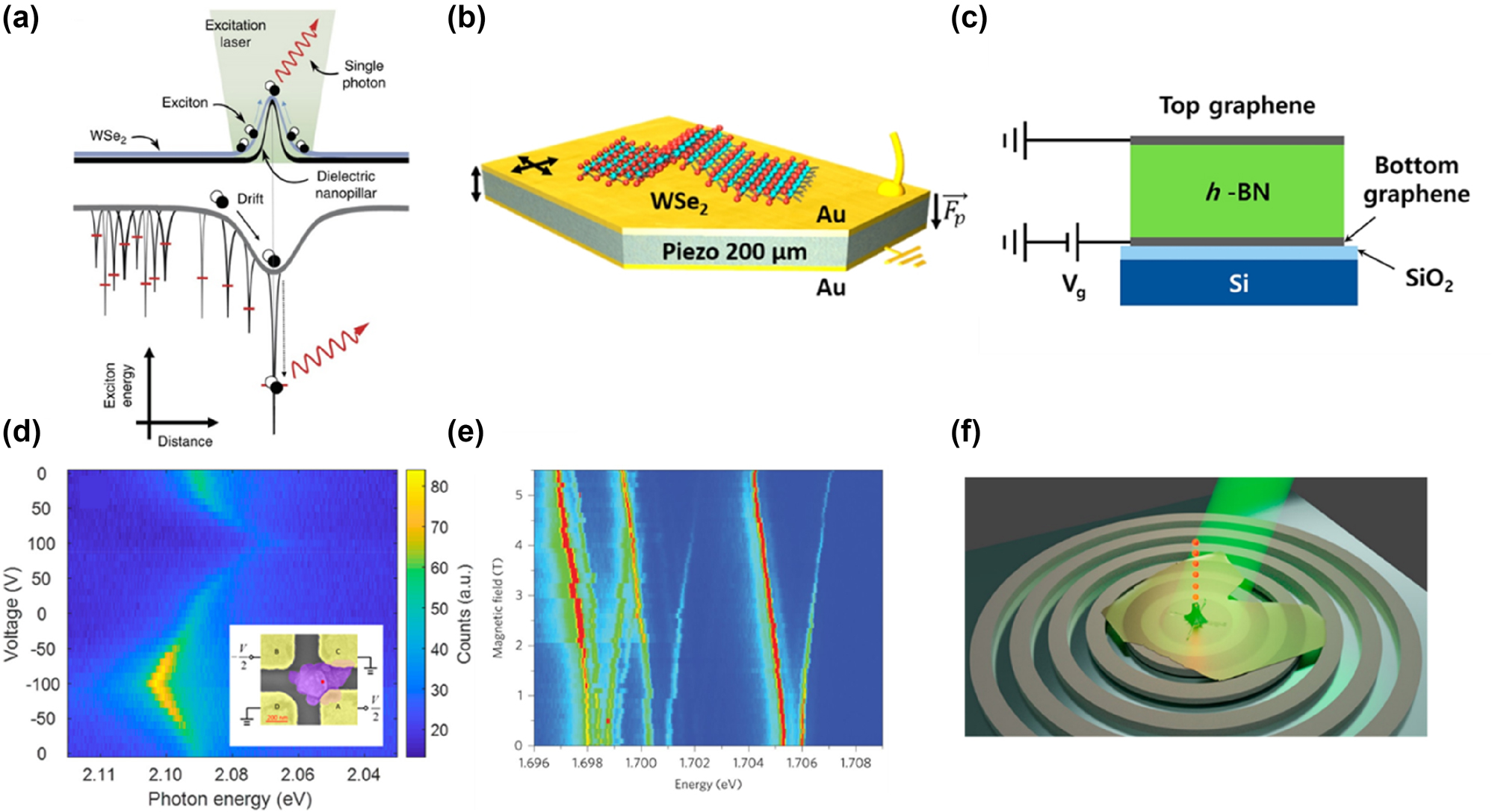 Figure 12: 
Different modulation methods of SPE from 2D vdW materials. (a) The concept of achieving strain-induced quantum emitters in atomically thin WSe2 using an array of nanopillars. The local biaxial strains modify the bandgap of WSe2 and spatially modulate the potential landscape of the 2D excitons, leading to the efficient funneling of photoexcited excitons toward the lower energy states at the strain-tuned sites, eventually forming efficient single-photon quantum emitters. Reproduced from ref. [225]. Copyright 2017, Springer Nature. (b) Schematic of a hybrid 2D-semiconductor-piezoelectric actuator device with an integrated WSe2 monolayer. Reproduced from ref. [226]. Copyright 2019, American Chemical Society. (c) The device schematic of multilayer hBN sandwiched between top and bottom few-layer graphene electrodes. This device is designed to tune the emission energy of single-photon emitters through the Stark effect by applying an out-of-plane electric field. Reproduced from ref. [232]. Copyright 2018, American Chemical Society. (d) The shift of the zero-phonon line PL spectrum’s central wavelength of a single-photon emitter in hBN under different applied voltages. The inset shows the setup for applying voltage between electrodes A and B. Reproduced from ref. [233]. Copyright 2019, American Chemical Society. (e) The PL intensity plot of five single quantum emitters as a function of the applied magnetic field, ranging from 0 T to 5.5 T. Reproduced from ref. [19]. Copyright 2015, Springer Nature. (f) The design and characteristics of the Purcell-enhanced single-photon source based on a circular Bragg grating cavity. Reproduced from ref. [236]. Copyright 2021, American Chemical Society.
