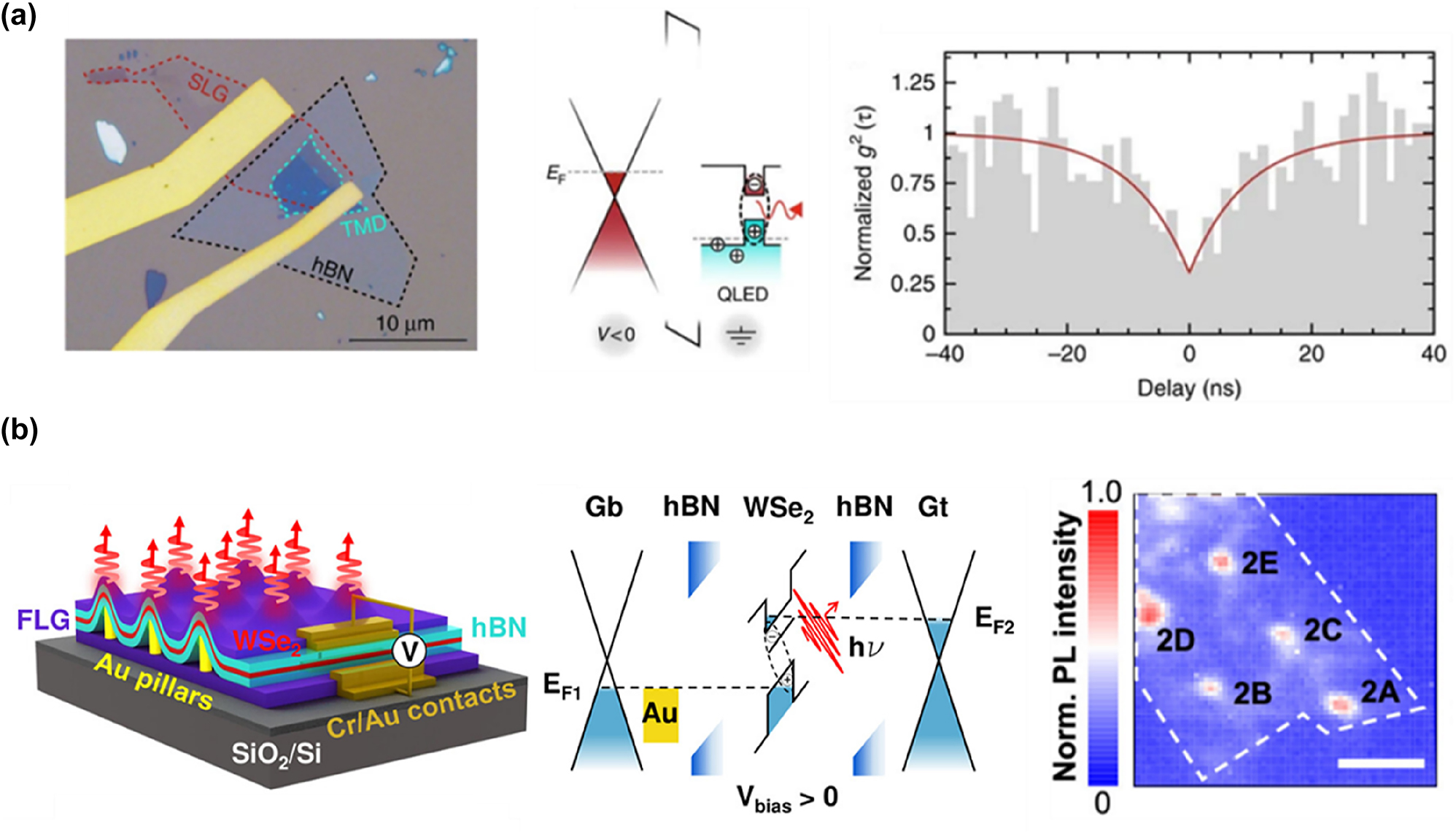 Figure 16: 
Electrically pumped single-photon sources. (a) Left panel: optical image of an electrically pumped single-photon source including Au/WSe2/hBN/graphene/Au on the SiO2/Si substrate. Middle panel: energy band diagram with applied bias. Right panel: intensity-correlation function of the electroluminescence signal. Reproduced from ref. [303]. Copyright 2016, Springer Nature. (b) Left panel: schematic of an electrically pumped single-photon source, including graphene/hBN/WSe2/hBN/Au pillars/graphene. Middle panel: energy band diagram with applied bias. Right panel: electroluminescence mapping over the active region. Reproduced from ref. [308]. Copyright 2023, American Chemical Society.

