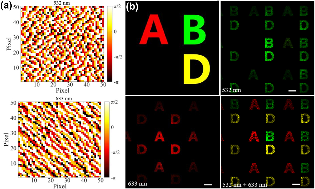 Figure 4: 
Hologram phase distribution and simulation reconstruction result of color images at two wavelengths. (a) Phase distribution of the two holograms corresponding to 532 nm and 633 nm. (b) Target image and simulated reconstructed images at different wavelengths. Scale bars: 35 μm.

