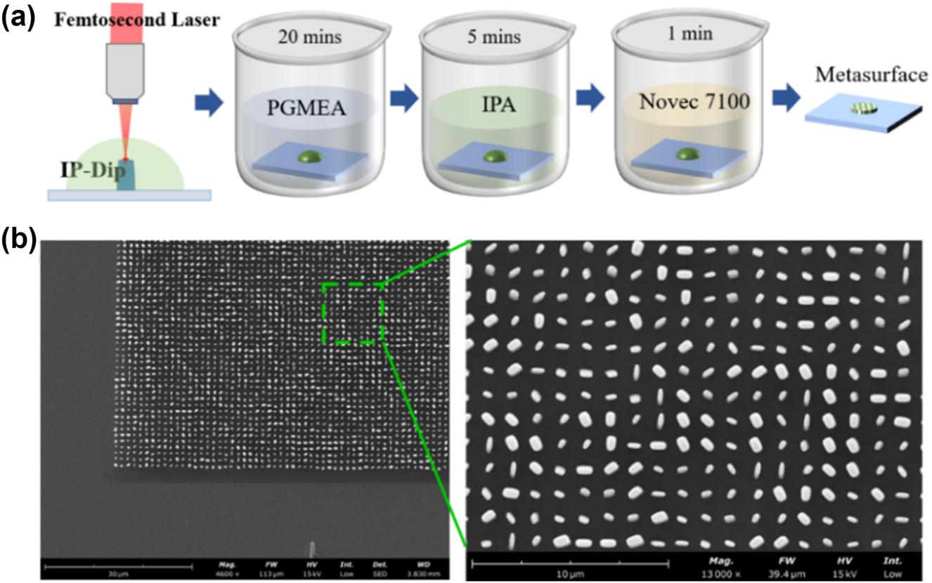 Figure 5: 
Sample processing flow and the SEM images. (a) The process of processing using 3D TPP printing. (b) SEM images of the sample.
