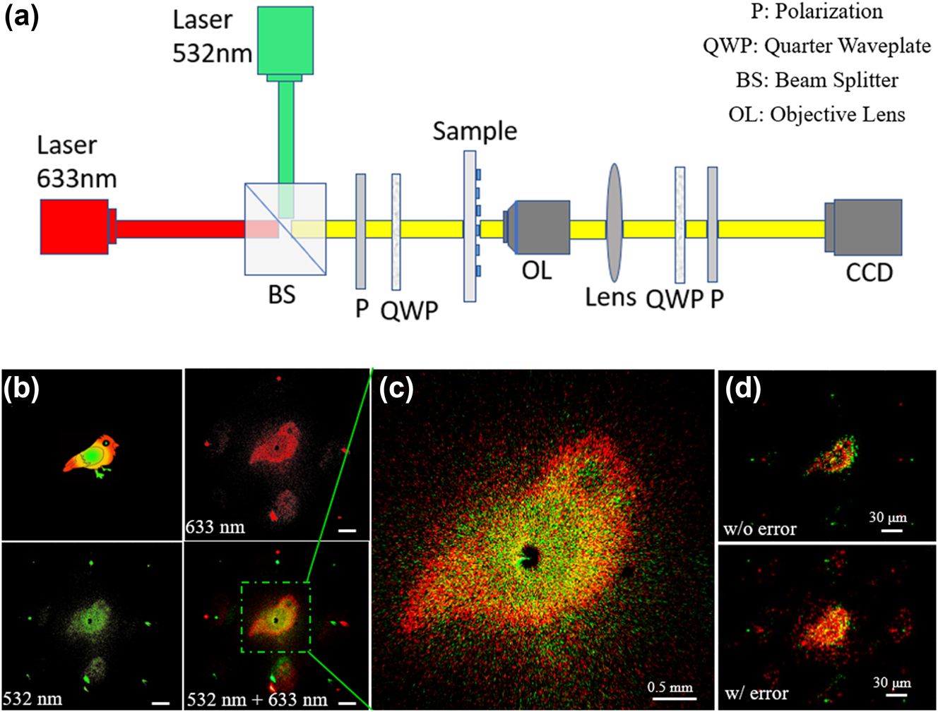 Figure 6: 
Experimental results. (a) Experimental setup for color meta-holograms. (b) Target image and experimental reconstructed images. Scale bars: 1 mm. (c) Magnified image. (d) Simulation reconstructed images without and with introducing fabrication errors.
