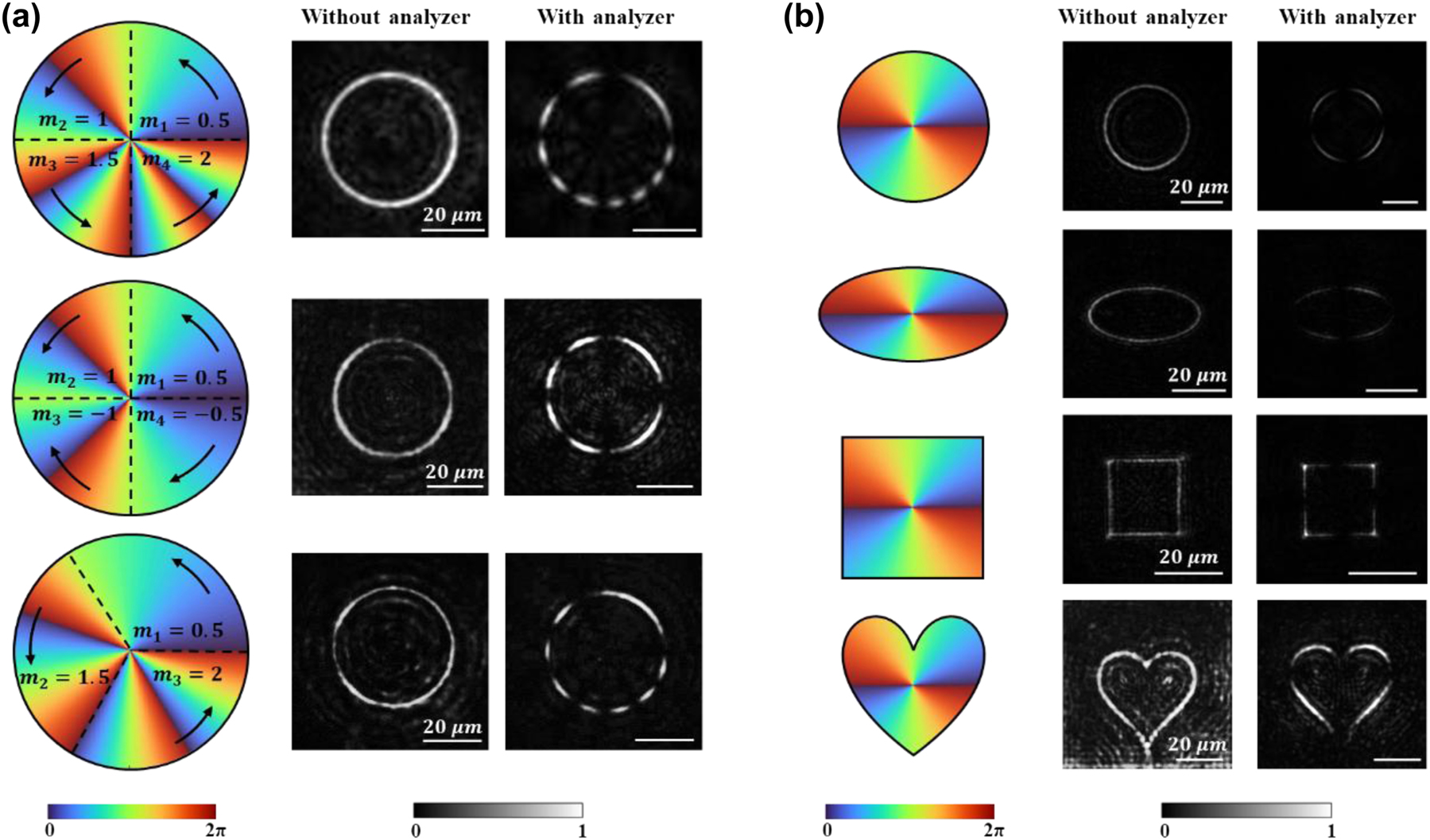 Figure 3:
Experimental results of PVVBs with non-uniform polarization distributions and varied beam shapes. (a) Experimental results of PVVBs with different non-uniform polarization distributions with white scale bar representing 20 μm. The first column shows the schematic design of the polarization of PVVBs in each section, where the clockwise or counterclockwise black arrows represent the polarization order m
n of each section and the bottom of colored diagrams represents the phase wavefront. The second column shows the experimental results, and the third column shows the results after passing through an analyzer. The first row: m
1 = 0.5, m
2 = 1, m
3 = 1.5, m
4 = 2, the second row: m
1 = 0.5, m
2 = 1, m
3 = −1, m
4 = −0.5, the third row: m
1 = 0.5, m
2 = 1.5, m
3 = 2. (b) Experimental results of PVVBs with different beam shapes with white scale bar representing 20 μm. From top to bottom, they are circle, ellipse, square, and heart-shaped. The first column shows the light intensity distribution curves and phase wavefront combination schematic, where the bottom of colored diagrams represents the phase wavefront. The second column shows the experimental results, and the third column shows the results after passing through an analyzer.
