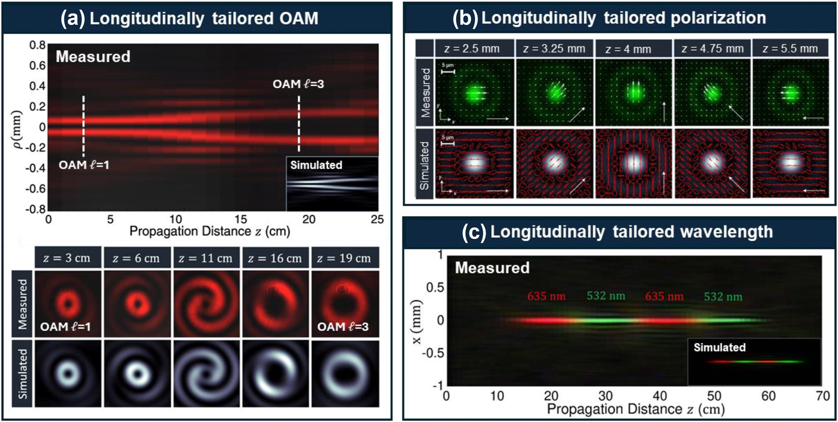 Figure 4: 
Examples of longitudinally tailored light properties, including (a) OAM [27]: OAM changes from ℓ = 1 to ℓ = 3 during the beam propagation, (b) polarization [28]: the white arrows indicate the polarization degrees at different distances, and (c) wavelength [29]: the wavelength oscillates between 635 nm and 532 nm along the propagation path. (a) is reprinted from Ref. [27], with permission from American Physical Society. (b) is reprinted from Ref. [28], with permission from American Physical Society. (c) is reprinted from Ref. [29], with permission from Optica Publishing Group.
