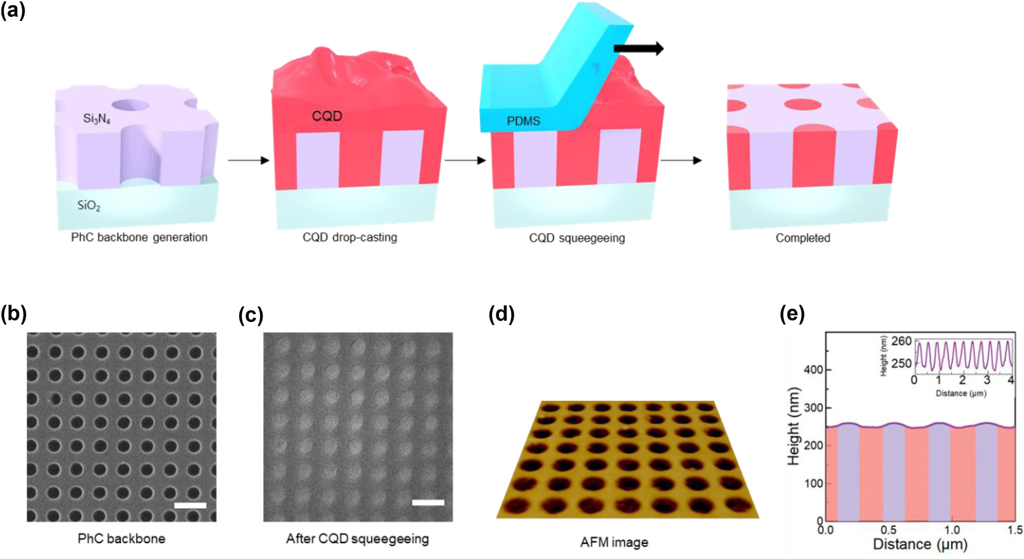 Figure 3: 
Fabrication of the surface-planarized CQD-based BIC laser device. (a) Fabrication steps for the BIC laser with a planar surface. (b) Top-down SEM image of the Si3N4 PhC backbone slab with a square-lattice array of empty air holes (before CQD deposition). (c) Top-down SEM image of a completed device with the air holes filled selectively with dense CdSe/ZnS CQDs. The scale bars are 500 nm. (d) Perspective AFM image of a completed device. (e) Height profile across a line that bisects a series of the CQD-filled air holes.
