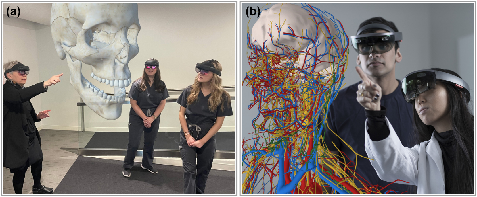 Figure 1:
Example applications of current AR/VR devices in education and medicine. (a) Dr. T. Roma Jasinevicius from Case Western Reserve University teaches dental anatomy to first- and second-year students using AR technology. (b) Students using AR technology to visualize complex anatomical structures of the head and neck in real time. (Courtesy of Interactive Commons, Case Western Reserve University, Cleveland, Ohio.)