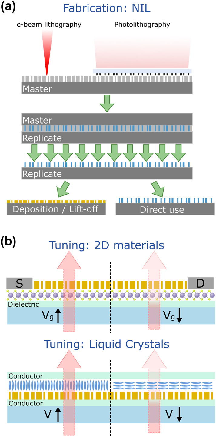 Figure 3:
Strategies for fabrication and tuning of AR/VR metasurface devices. (a) Nanoimprint lithography (NIL) utilizes a single nanopatterned mold (master) to produce many replica nanoscale surfaces with an inverse structure, which can be used in inverse masking processes or directly as polymeric metasurfaces. Since the initial lithography is only performed once, the technique highly scalable and cost-effective. (b) Some of the most promising schemes for tuning metasurface devices are (top) electronic (gate voltage Vg) tuning of the light–matter interaction in 2D material coupled metasurface devices, including transition metal dichalcogenides (MoS2 shown), and (bottom) liquid crystal devices (with applied electric field at voltage V) integrated with metasurfaces to control the ambient refractive index. The liquid crystal is shown to reorient in the applied electric field.