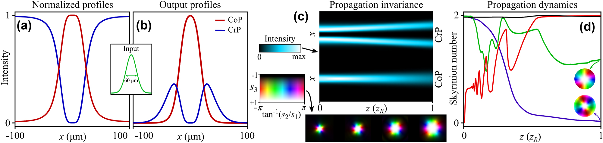 Figure 4: 
Target and output profiles at the MS: (a) target (normalized) intensity profiles for the CoP and CrP components, the inset shows the input Gaussian illumination over the MS, with 


F
W
H
M
=


w


0




2
⁡
ln
⁡
2


≈
60

μm

$\mathrm{F}\mathrm{W}\mathrm{H}\mathrm{M}={w}_{0}\sqrt{2\ln2}\approx 60\,\mathrm{\mu m}$


. (b) shows the output intensity profiles after multiplying the target by the input Gaussian beam. (c) shows the evolution of the intensity profiles of the CoP and CrP at y = 0 as a function of the propagation distance z, the inset shows the Stokes textures for different z, yielding an average skyrmion number of 






N

̄



SK


≈
1.97

${\bar{N}}_{\text{SK}}\approx 1.97$


. Data: λ = 1.55 μm, DMS = 200 μm, w0 = DMS/4, w1 = 0.8 ⋅ w0, w2 = 0.76 ⋅ w0, l = 2. (d) Shows the evolution of the skyrmion number as a function of the propagation distance for different MS designs: complex amplitude modulation and phase compensation in both CoP and CrP waves (black curve), the same amplitude profiles without any phase compensation (green curve), phase compensation only in the CrP wave with geometric phase (blue curve), and skyrmion Q-plate with no amplitude modulation Δϕ = π/2 (red curve). The inset shows the respective Stokes profile at the final propagation distance. All propagation distances are normalized to the Rayleigh range of the input field 




z


R


=
k


w


0


2


/
2

${z}_{R}=k{w}_{0}^{2}/2$


.
