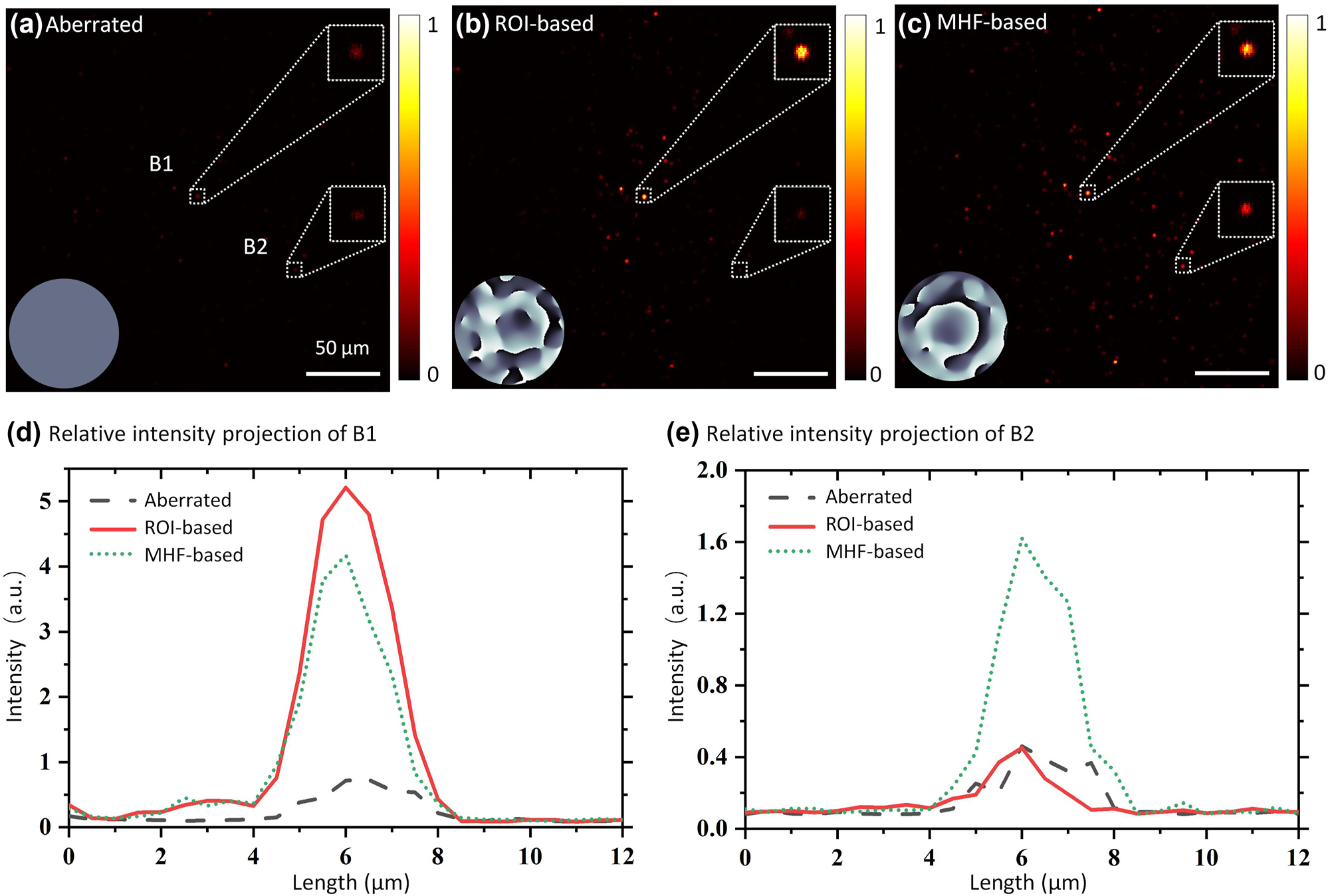 Figure 4: 
Experimental results of imaging fluorescent beads through a diffuser, corrected by the IBIFS with different metrics. Insets in (a)–(c) are the correction phases. (a) Image of fluorescent beads scattered by a diffuser. B1 and B2 are two fluorescent beads selected for comparison. (b) Image of fluorescent beads with correction based on the intensity value of B1. (c) Image of fluorescent beads with correction based on the middle-high spatial frequency characteristics. (d) Relative intensity profiles of B1. (e) Relative intensity profiles projection of B2.
