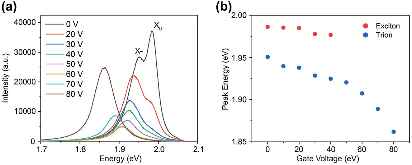 Figure 7: 
In-depth variations of PL spectrum with respect to gate-voltage. (a) Changes in the PL spectrum at various voltages. At 0 V, there are two peaks for excitons (X
0) and trions (X−). As the voltage increases, the exciton peak is gradually diminished and vanishes at around 50 V, leaving only the trion peak. (b) Gate-voltage dependence of exciton and trion energies. Typically, exciton exhibits a blue shift with increasing gate voltage [41]. However, we have observed red shift behavior, which may come from strain effect.
