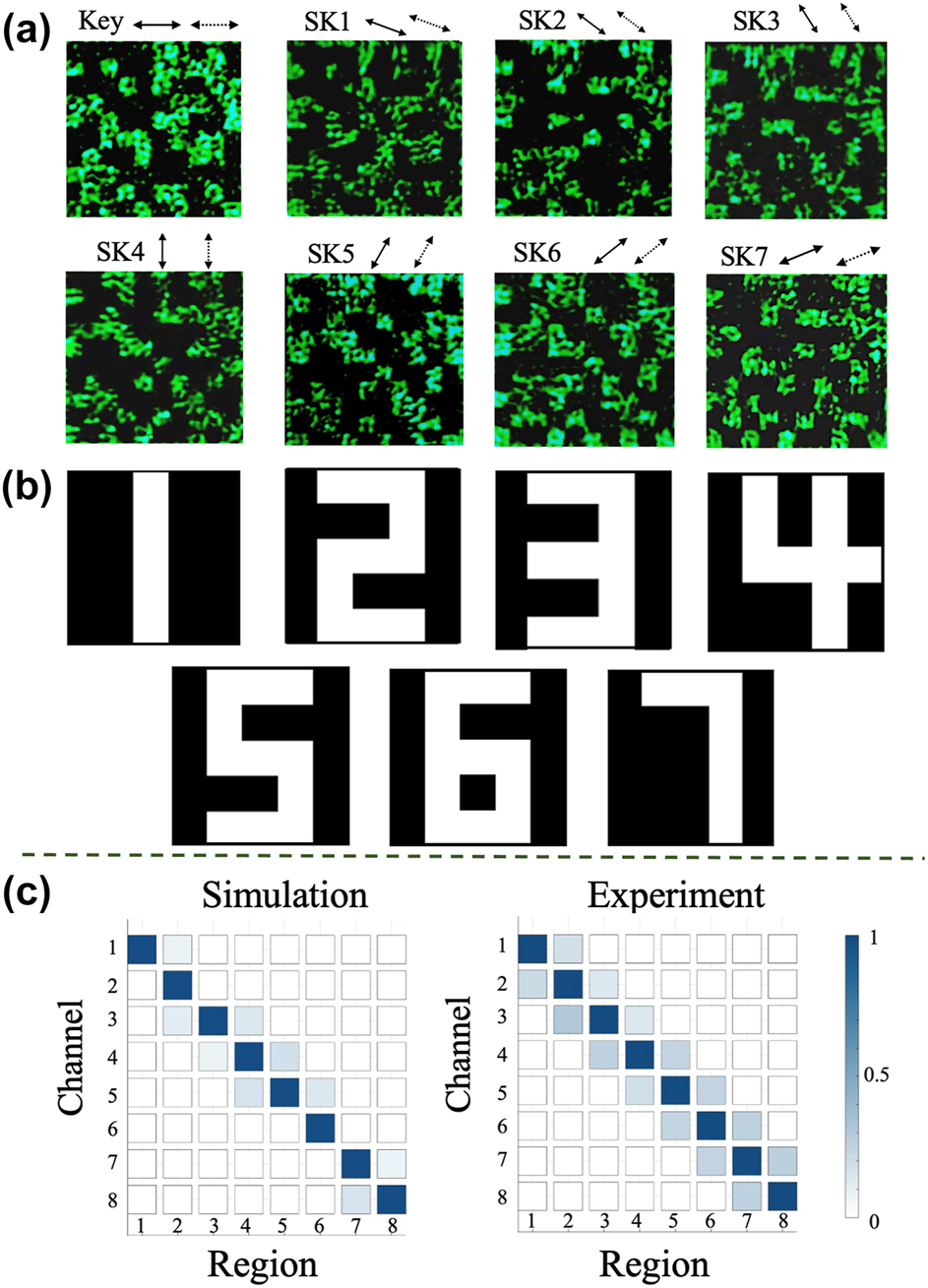 Figure 5:
The experiment demonstration of VSS encryption based on 8 polarization-dependent channels. (a) The holograms of the 8 polarization channels. The polarization interval is 22.5°. (b) The encrypted recovery results. (c) The correlation coefficient matrix for the simulated and experimental results for the 8-channel encrypted images.