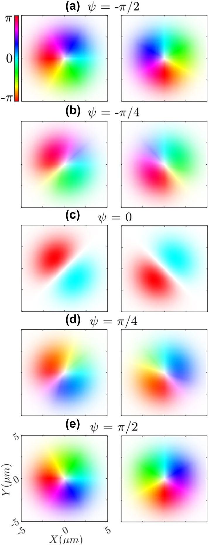 Figure 3: 
Calculated phase for the separate orthogonal polarization components of the ARPB for varying ψ values from −π/2 to π/2: E

x
(left), and E

y
(right). The color represents phase and saturation represents the intensity. Comparisons between phase values at a given point on an orthogonal pair reveal the resulting ellipticity upon combination.
