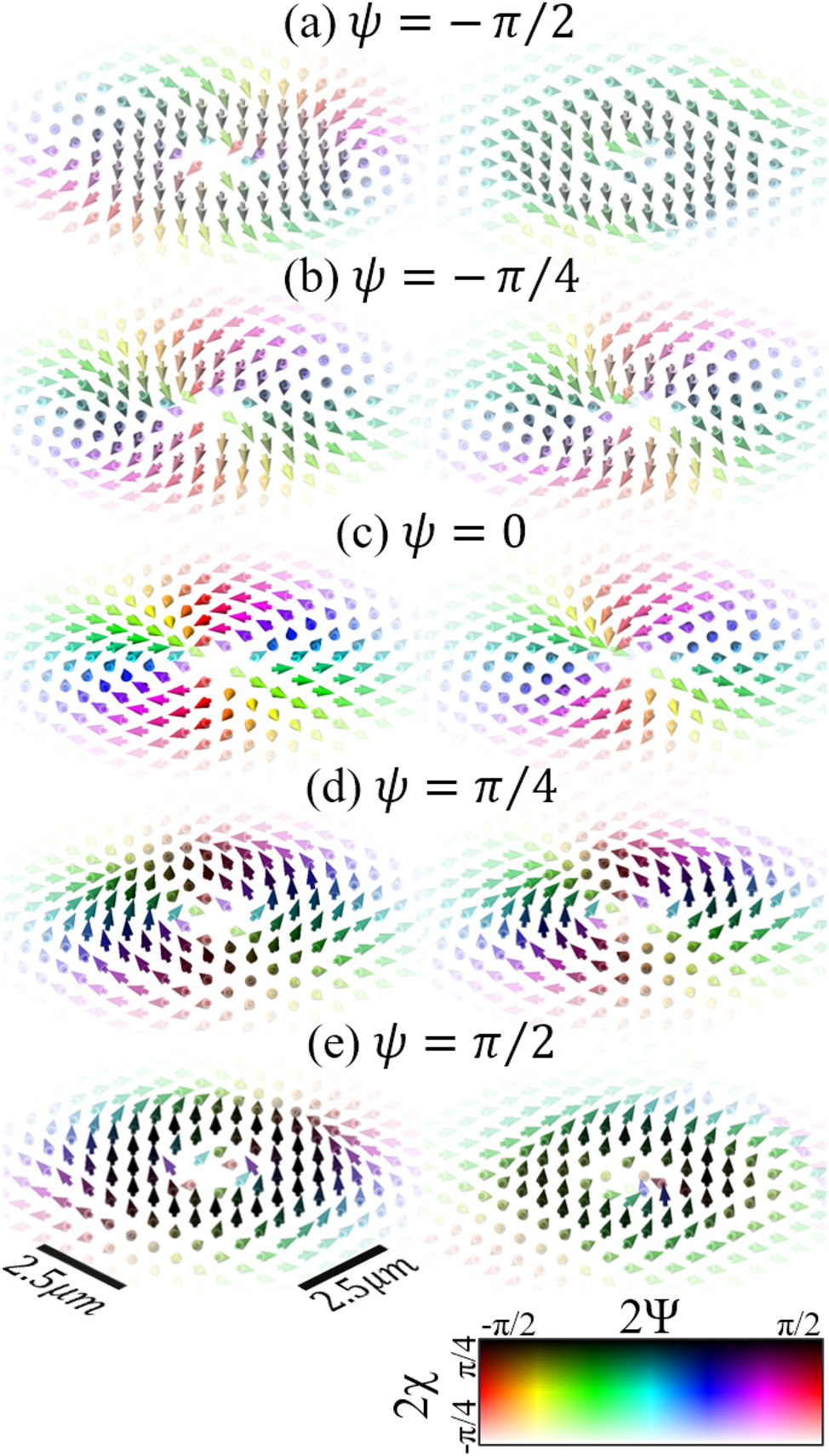 Figure 7: 
Theoretical (left) and experimental (right) polarization textures of the transverse electric fields at the focus of an ARPB varying the phase parameter ψ. The figures are arranged in order of increasing ψ from −π/2 to π/2. Arrow color represents local position on the Poincaré sphere according to polarization angle 2Ψ (not to be confused with phase parameter ψ seen throughout this paper) and ellipticity 2χ. By varying ψ is possible to change the handedness of the ARPB’s chirality, seen as the circularly polarized regions gradually flip from 2χ = −π/4 in (a), to 2χ = π/4 in (e).
