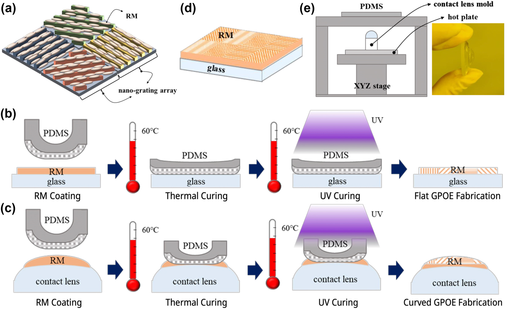 Figure 1:
GPOE fabrication process. (a) RM with optical axis oriented by nano grating array. (b) Flat GPOE fabrication process. (c) Curved GPOE fabrication process. (d) Flat GPOE manufactured using top-down alignment. (e) Curved GPOE combined with contact lens.