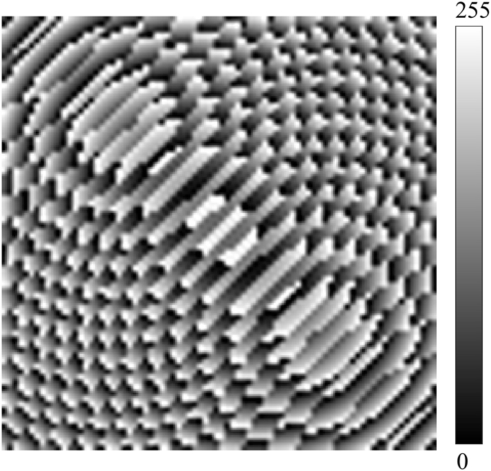 Figure 6:
The phase image after processing.