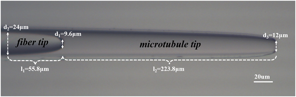 Figure 1: 
Physical image of the cascaded microcavity optical tweezers probe.
