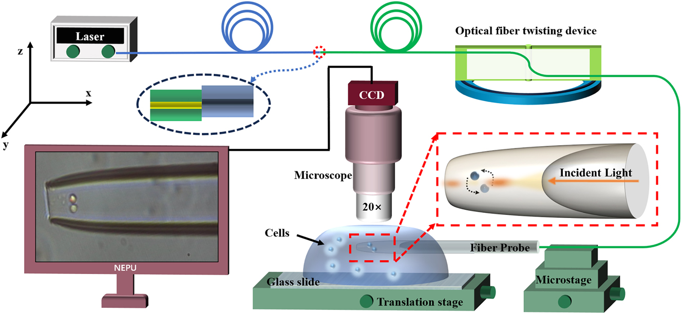 Figure 3: 
A schematic diagram of the experimental setup.

