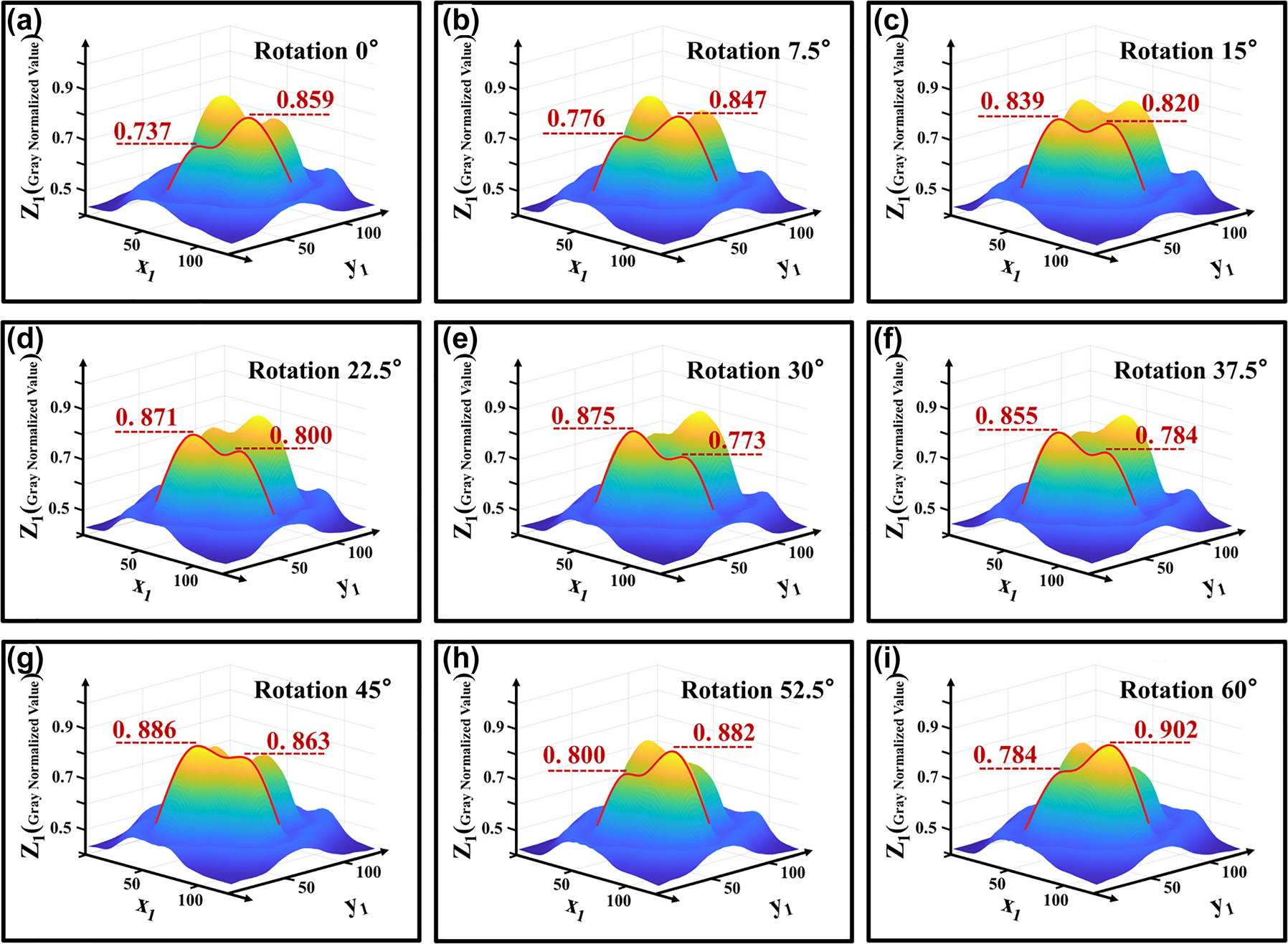 Figure 6: 
3D light spot distribution after normalized gray smoothing. (a) The normalized intensity of one pair of spots of LP21 was 0.737 and 0.859, respectively, when the fiber twisting device was 0°. (b) When the fiber twisting device was 7.5°, the energy transfer of a pair of spots of LP21 began. (c) When the fiber twisting device was 15°, the normalized intensity of one pair of spots of LP21 was 0.839 and 0.820, respectively, which was approximately equal. (d) When the fiber twist device was 22.5°, a pair of LP21 spots continued to transmit energy. (e) When the fiber twisting device is 30°, the normalized intensity of one pair of spots of LP21 is 0.875 and 0.773, respectively, which is opposite to the situation in (a). When the fiber twisting device is 45°, the situation is similar to that in (c). (f–h) When the fiber was twisted from 37.5° to 52.5°, the energy of a pair of LP21 spots started to transfer in the opposite direction. (i) Similar to (a) when the fiber twisting device is 60°.

