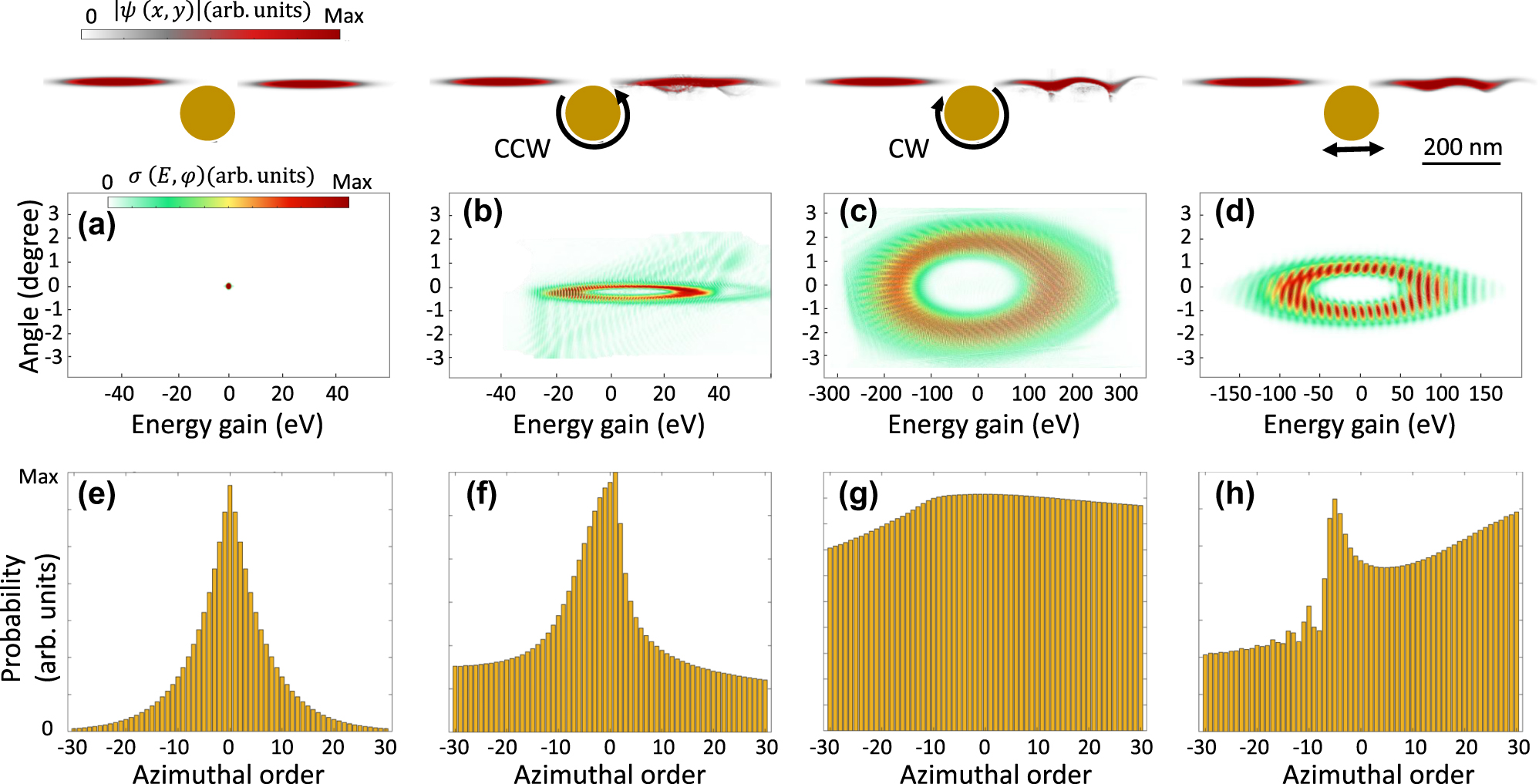 Figure 4:
Probability amplitude distribution of the angular momentum transferred to the electron wavefunction by plasmonic near-field rotors. A Gaussian electron wavepacket, with a kinetic energy of 1,650 eV and transverse and longitudinal broadenings of 25 nm and 320 nm at FWHM, interacts with a plasmon generated by a nanorod with the radius of 80 nm. The inelastic scattering cross-section of the electron wavepacket is shown after propagation in (a) free space and interaction with (b) CCW, (c) CW, and (d) X-polarized plasmonic rotors. The upper row depicts the bunched electron profile after passing through the plasmonic near-field. Probability distribution of the angular momentum of the final electron wavefunction after propagating through (a) free space (no interaction), (b) CCW, (c) CW, and (d) x-oriented localized plasmonic dipolar fields. The laser pulse features a central wavelength of 2000 nm, an electric field amplitude of E
0 = 1 GVm−1, and a temporal FWHM broadening of 53 fs, respectively.