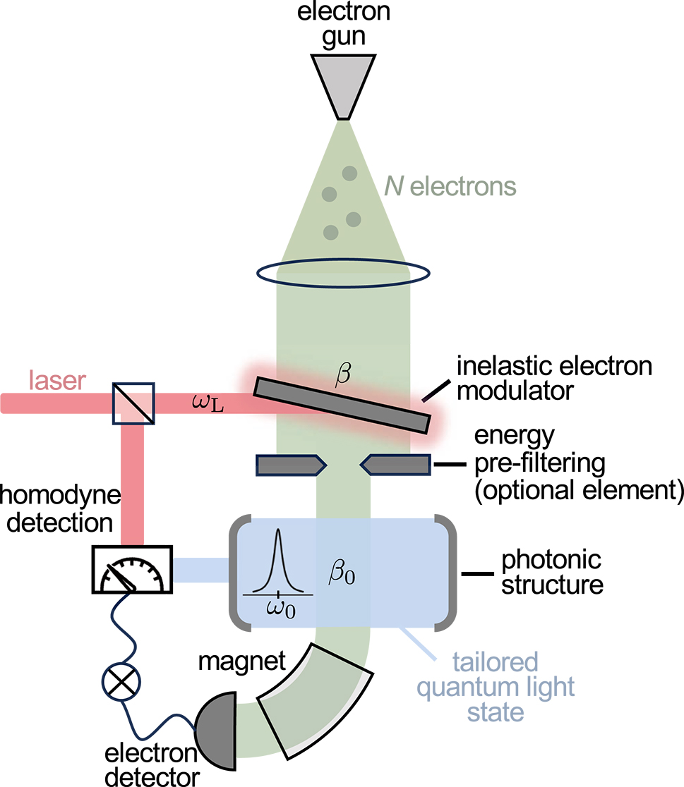 Figure 1:
Creation and analysis of quantum light states generated by free electrons. An e-beam pulse composed by N electrons is directed into a light-based inelastic modulator that coherently reshapes the electron energy distribution through a single IELS interaction with coupling coefficient β and frequency ω
L. An optional energy filter placed before the sample may eliminate electrons outside a selected energy range. The beam subsequently passes a nanostructure and emits photons into an optical mode with frequency ω
0 via spontaneous emission of strength β
0. After this interaction, the generated light is extracted from the structure, and its quantum state is analyzed using a homodyne detection scheme in coincidence with the energies measured by an electron spectrometer composed by a sector magnet and an electron detector.