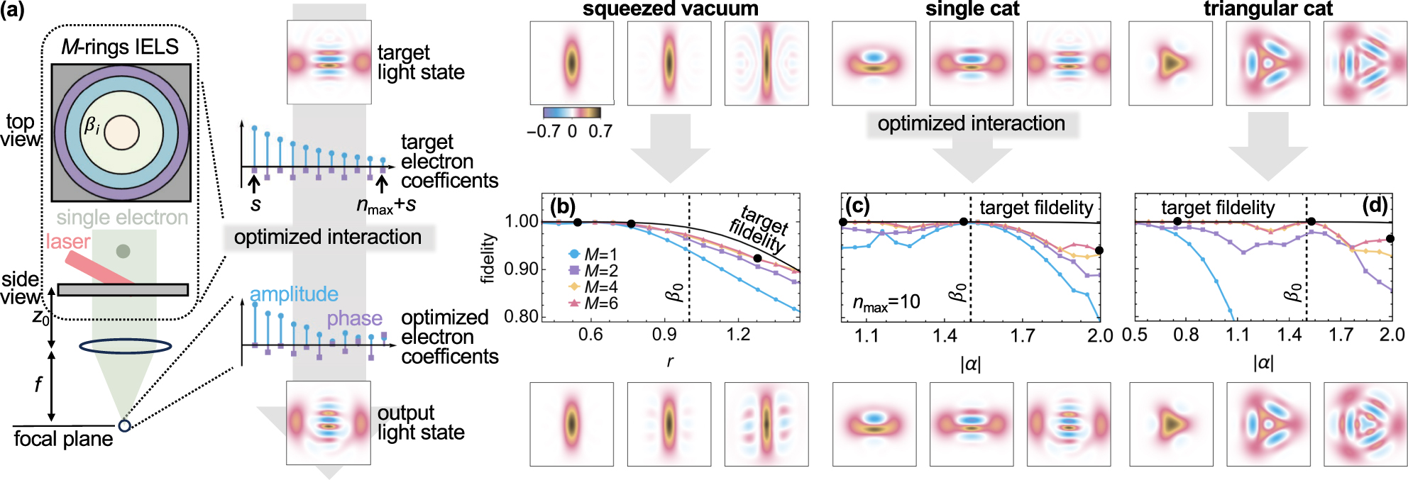 Figure 5:
Lateral IELS patterning for electron energy coefficients optimization and quantum light generation. (a) Illustration of the steps employed for tailored synthesis of quantum light states. A set of electron energy amplitudes are obtained from Eq. (12) to approximate the first n
max = 10 coefficients of a given target photonic state
|
ψ
p
targ
〉
$\vert {\psi }_{p}^{\text{targ}}\rangle $
and employed to optimize the design of the radial profile of the near-field used in an IELS stage composed of M concentric rings each with corresponding coupling constant β
i
. The most favorable design is supposed to provide the electron energy coefficients producing the optimal light state
|
ψ
p
opt
〉
$\vert {\psi }_{p}^{\text{opt}}\rangle $
that maximizes the fidelity
|
⟨
ψ
p
targ
|
ψ
p
opt
⟩
|
2
$\vert \langle {\psi }_{p}^{\text{targ}}\vert {\psi }_{p}^{\text{opt}}\rangle {\vert }^{2}$
. (b–d) Maximum achieved fidelity for M = 1, 2, 4, 6 concentric rings for different types of light states: a squeezed vacuum state with coefficient r (a), a cat state with real amplitude α and phase θ = π/2 (b), and a triangular cat state with real amplitude α and θ = 2π/3 (c). The photonic Wigner functions on the top row correspond to target states while the ones in the bottom to generated states in the configurations highlighted by the black circles in (b, c, d). A laser modulation frequency ω
L = 2ω
0 and an electron-mode coupling strength β
0 = 1 were used in (b) while ω
L = ω
0 and β
0 = 1.5 in (c, d).