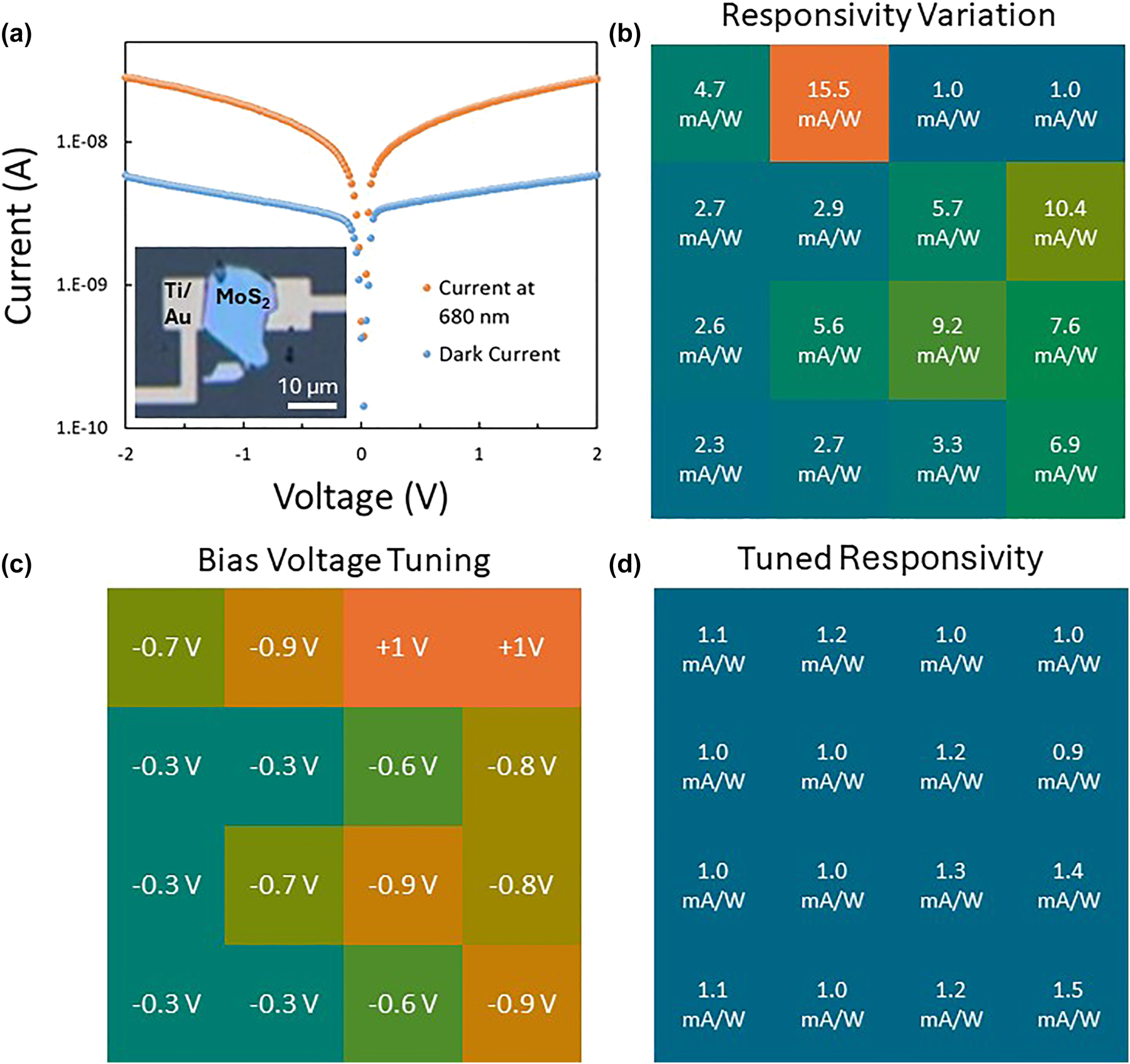 Figure 3: 
Array variations and tuning. (a) Example of device I–V characteristics with operation with dark current and light current operated at 8.2 μW and 680 nm. Absolute value of the device current is taken to plot on a log scale graph. Inset shows device 7 on PI, the device under test, with a 10 μm scale bar. (b) As fabricated device characteristics for responsivities tested at 2 V, with colder colors representing lower device performance and warmer colors representing higher device performance. (c) Tuning to 1 V bias voltage applied to each device to increase uniformity for the full array. Warmer colors represent larger absolute value for the device tuning, while colder colors represent lower absolute value for tuning. (d) Array responsivities after applying voltage tuning from (c) minimal variation is seen between devices.
